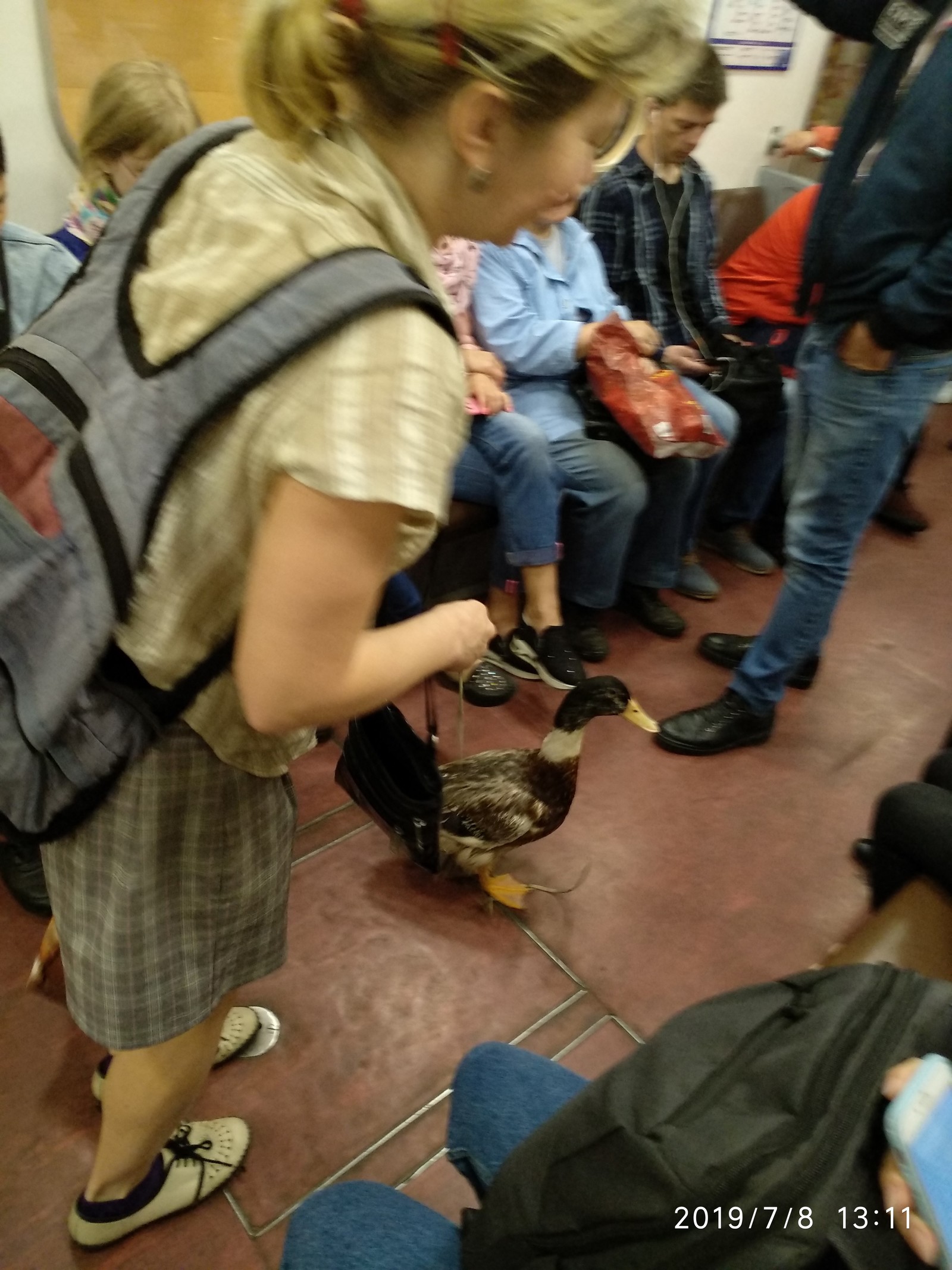 Just the subway. Just a duck. - Metro, Duck, Astonishment, Saint Petersburg