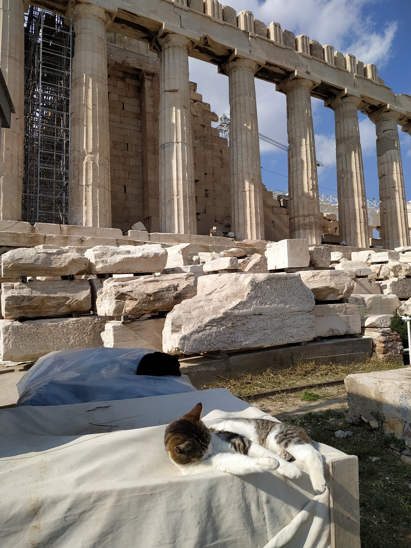 Athens. Week in Athens Part 1 - My, Athens, Greece, Acropolis, Longpost