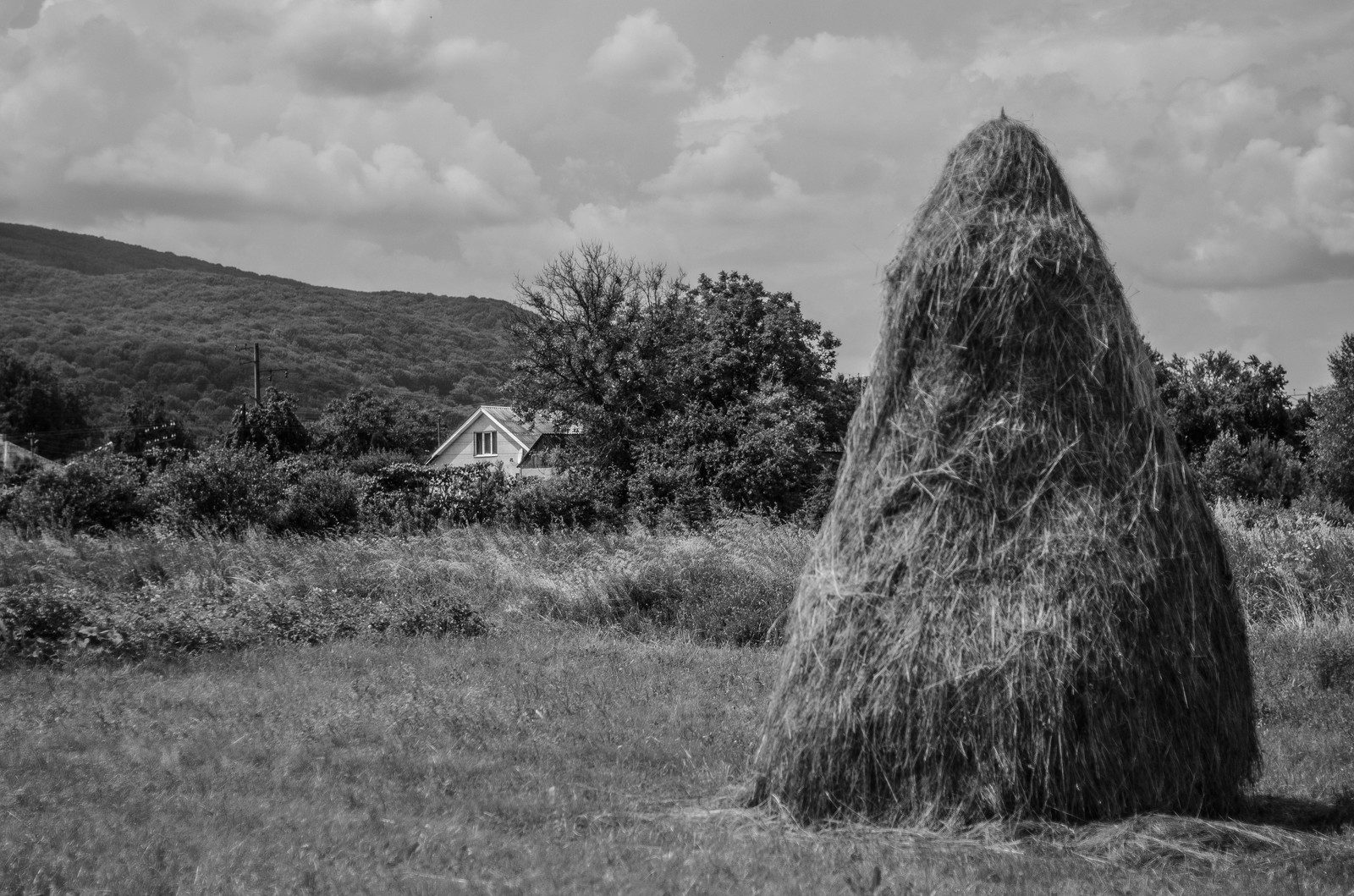 Съездил значит я в деревню.. - Моё, Длиннопост, Начинающий фотограф, Хочу критики, Сильно не пинайте, Природа, Флора и фауна, Фотография