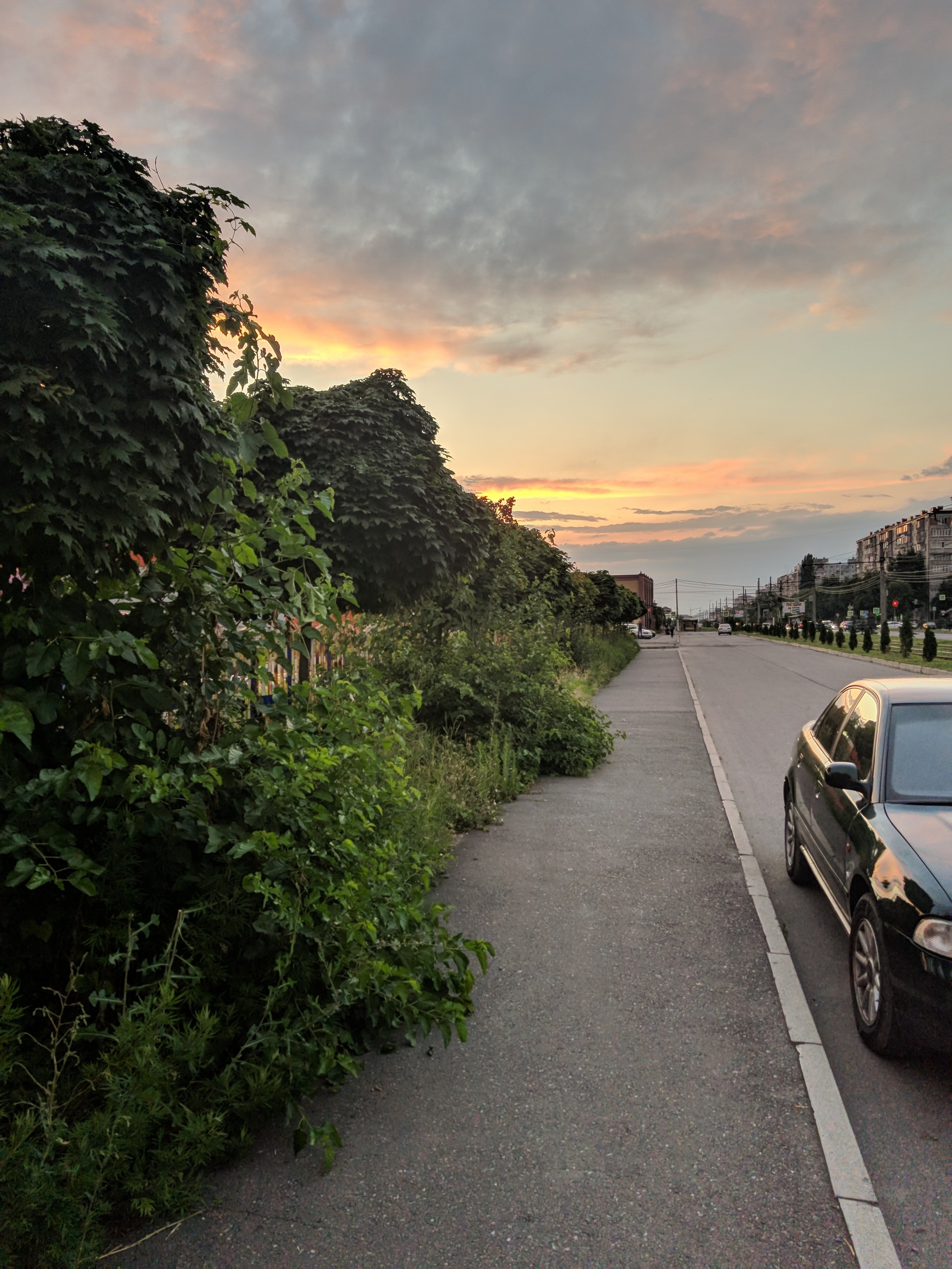 Installed Google camera, I advise. - Photo on sneaker, Samsung, cat, , Longpost