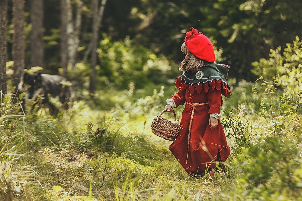 New colors in an old story - Little Red Riding Hood, PHOTOSESSION, Cosplay, A selection, Wolfhund, Dogs and people, Longpost