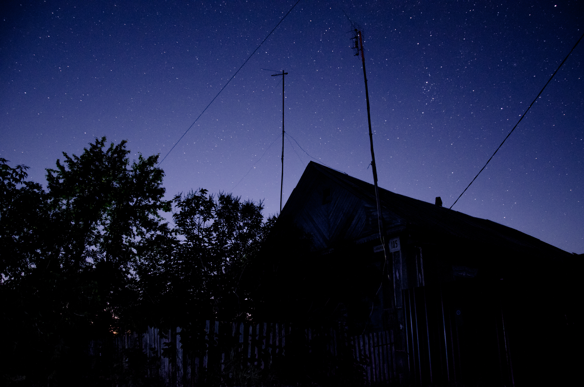 summer :) - My, Summer, Nature, Sunset, Starry sky, Dog, Mushrooms, Insects, The photo, Longpost