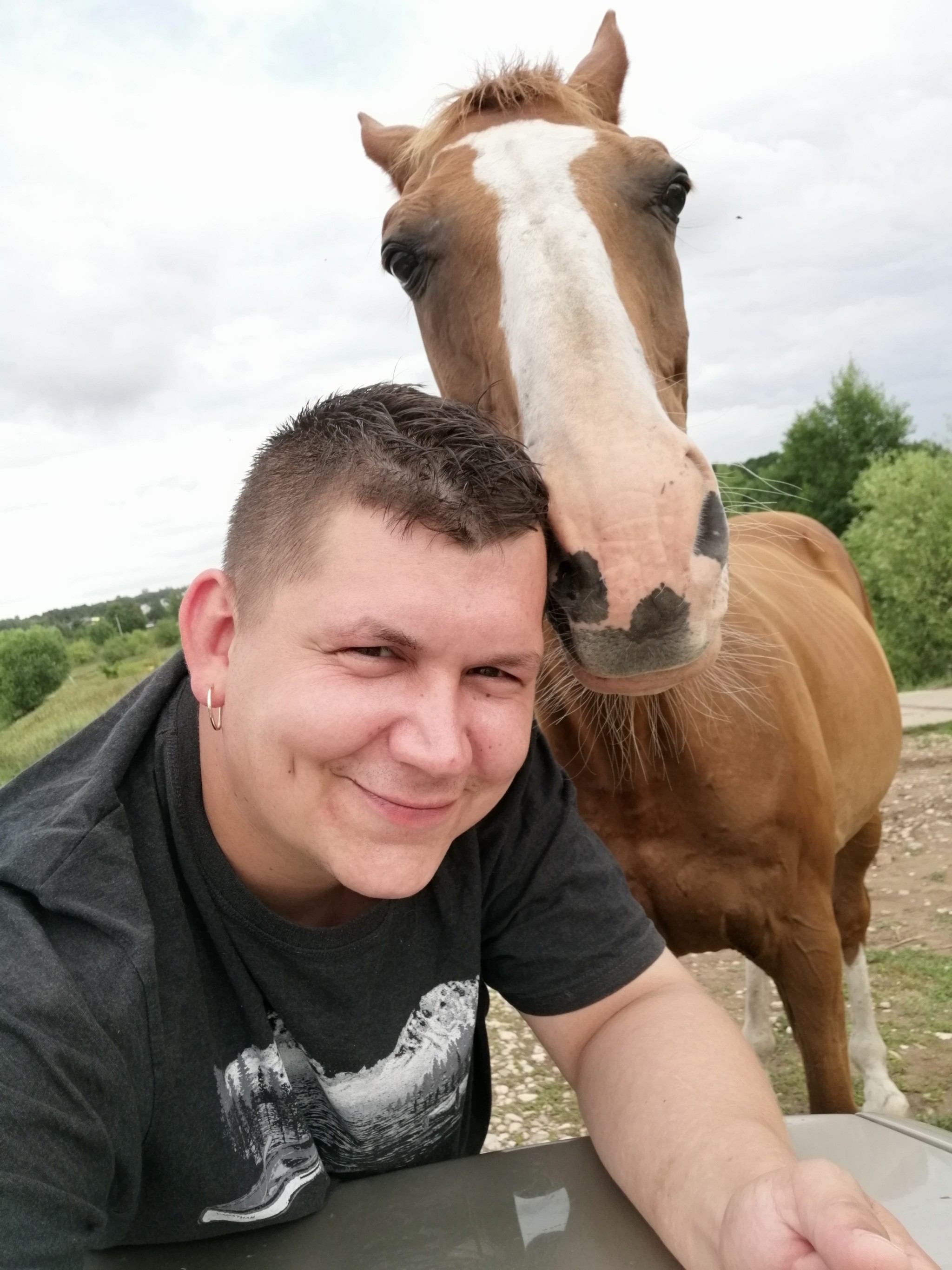 Horse named Selfie - My, Horses, The photo