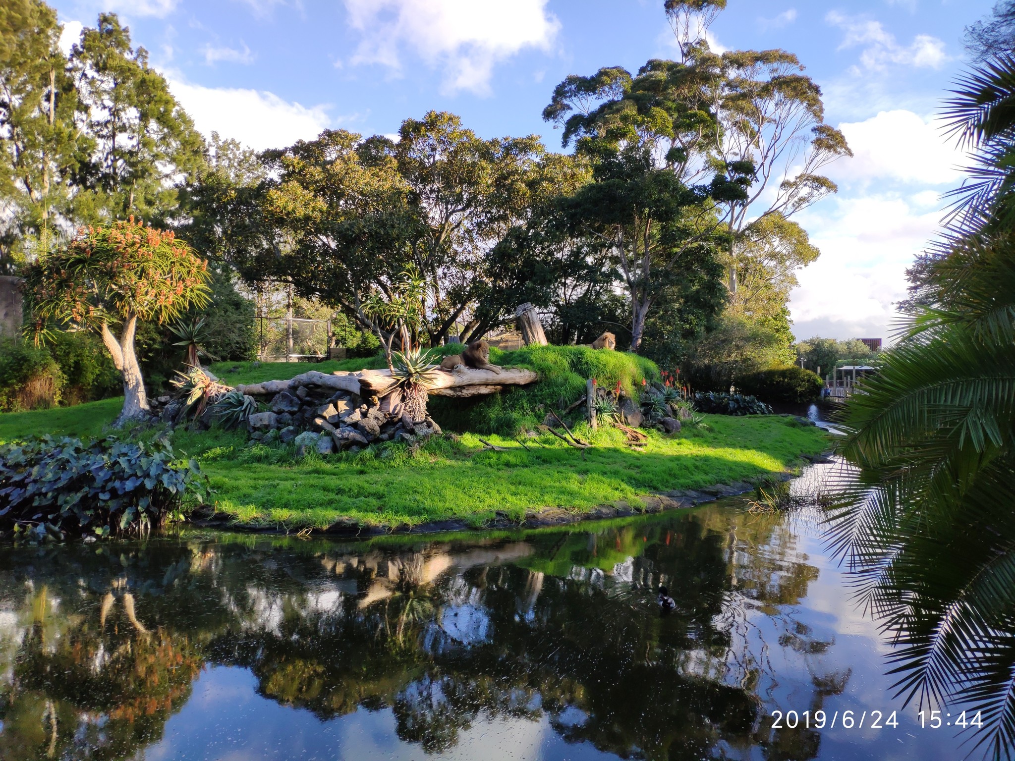 Auckland Zoo. - My, New Zealand, Zoo, Nature, Walk, Longpost