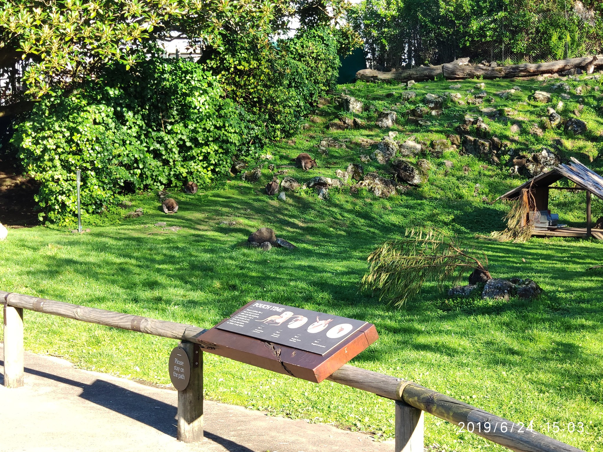 Auckland Zoo. - My, New Zealand, Zoo, Nature, Walk, Longpost