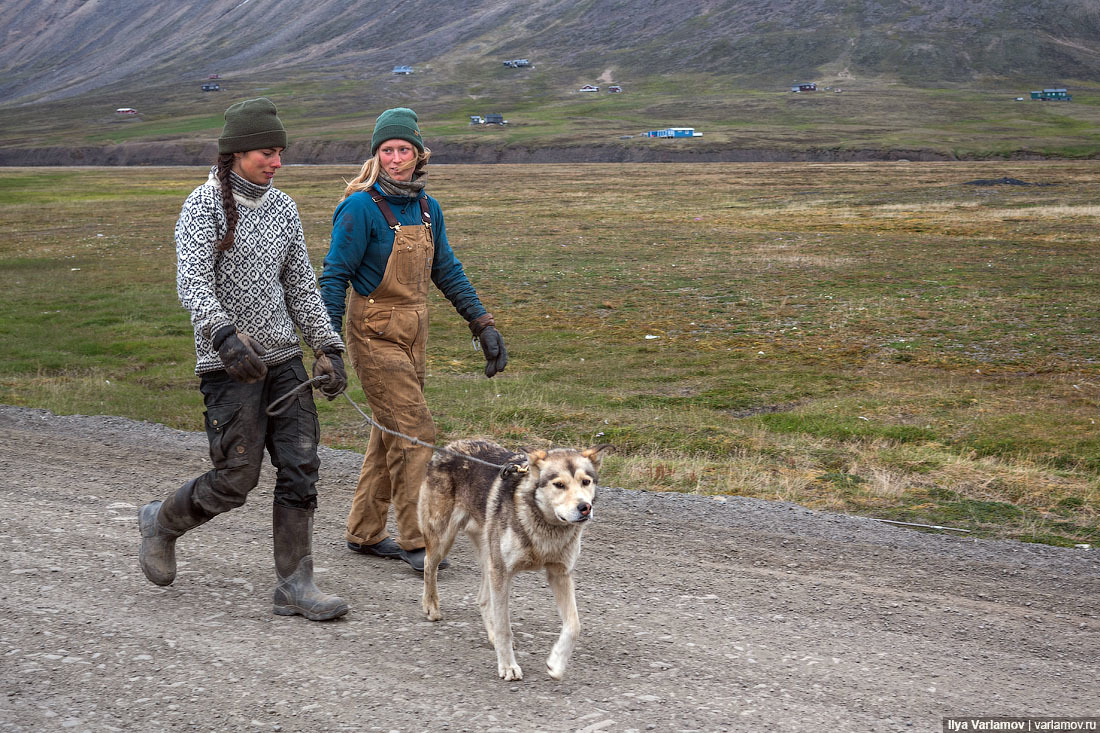 Svalbard: almost ours - My, Norway, Island, Nature, Travels, Spitsbergen, Longpost