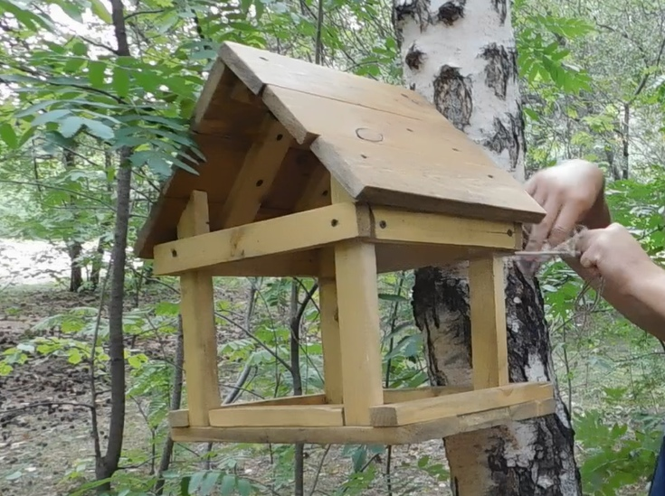 Why hang trash on trees...?! - My, Chistoman, Trough, Garbage, Forest, Tree, Longpost