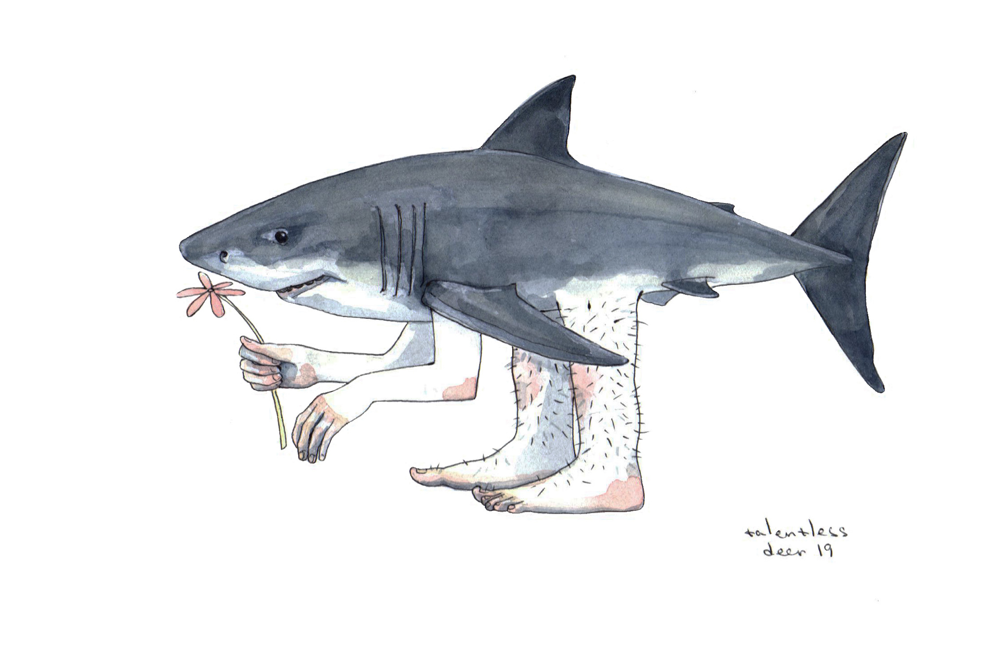 Overland - My, Shark, Watercolor, Sketch, Graphics, Drawing, Art, Legs, Illustrations