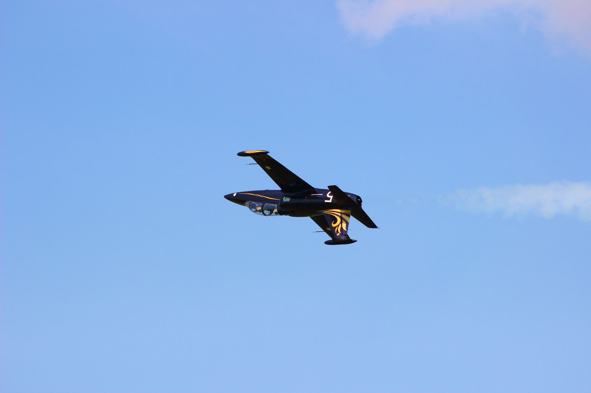 Airshow in Mochische, Novosibirsk region, 2019 (21 photos) - My, Su-35, l-39, Mi-24, Airshow, Novosibirsk, Longpost, Canon 600D, Airplane, The photo