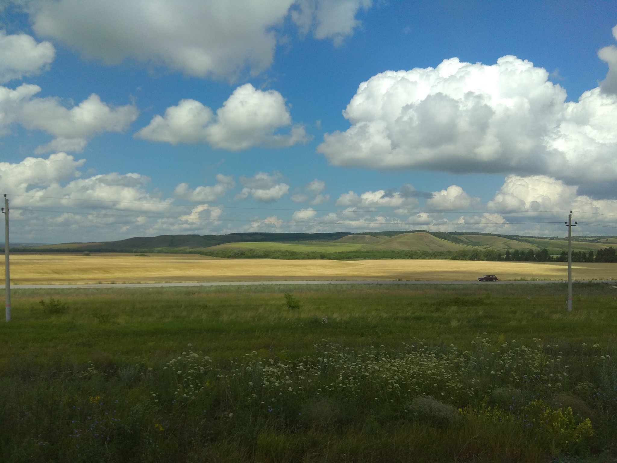 Serenity - My, The photo, Summer, Landscape, Serenity, Open spaces, A train, Longpost