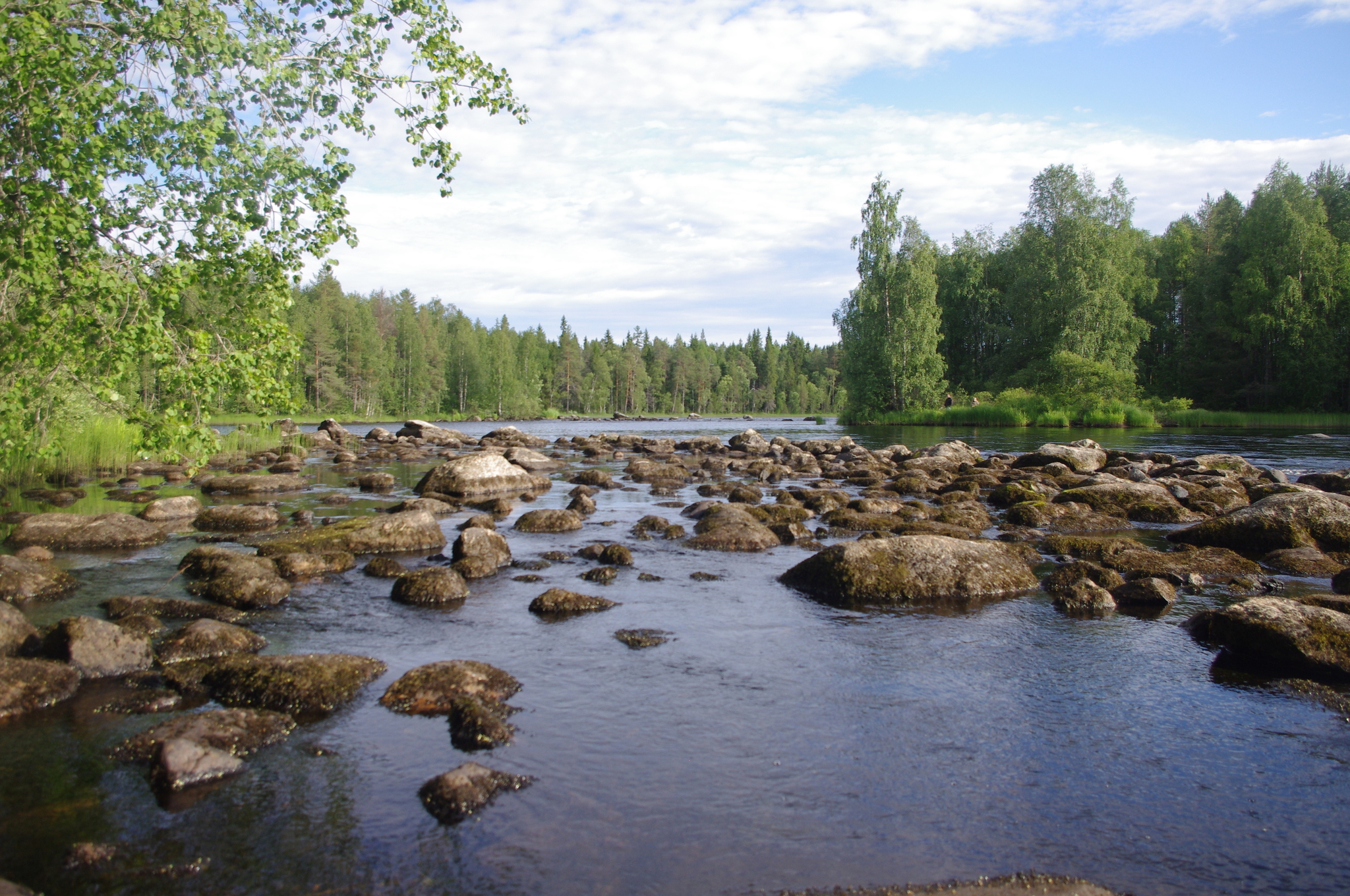 Karelia. - My, Карелия, Tourism, Travels, North, Longpost