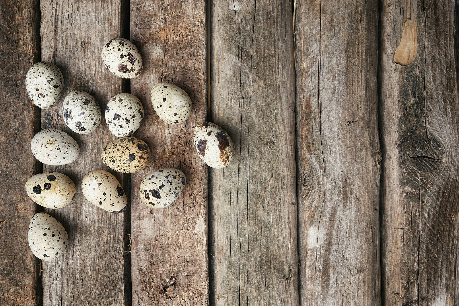 Немного нашей продукции FLEGMATIC•BIRD - Моё, Фотография, Фермерские продукты, Фермерство, Фермер, Яйца, Мясо, Длиннопост, Натуральные продукты