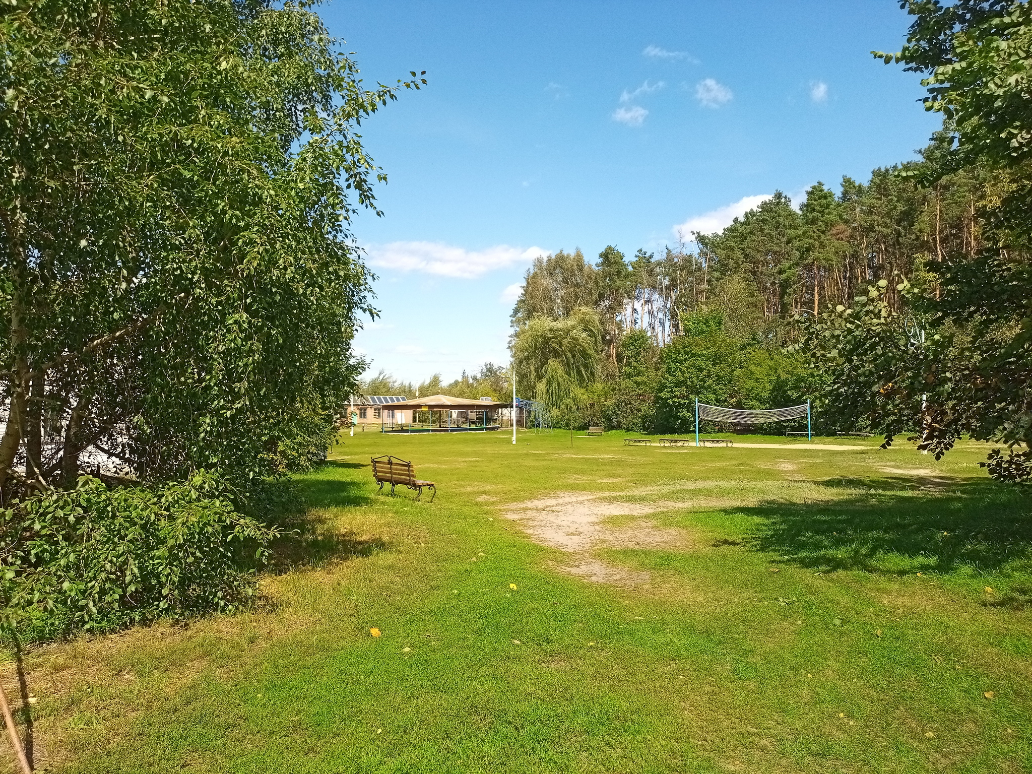 Walk - My, Walk, Forest, River, Longpost