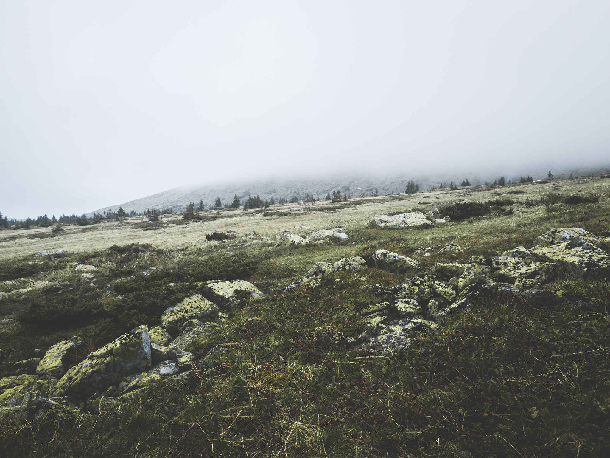 Surroundings of Iremel - My, Nature, Ural, Landscape, Longpost, The photo