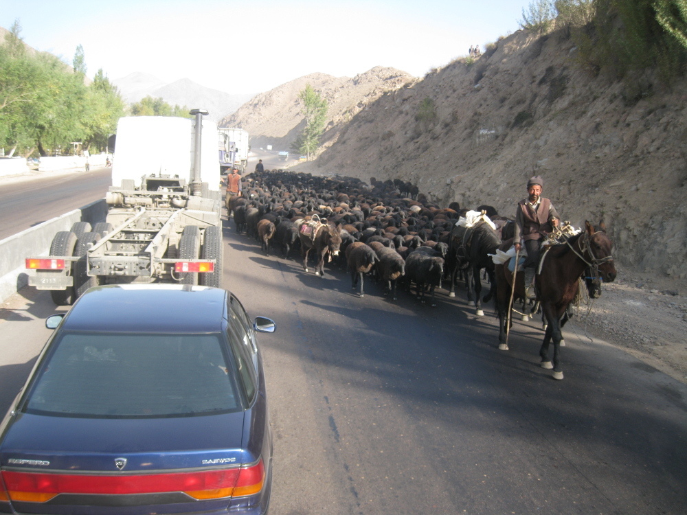 Hellish stage or 9000 km. along the roads of Asia. Part 2 - My, Kazakhstan, Uzbekistan, Kyrgyzstan, Longpost