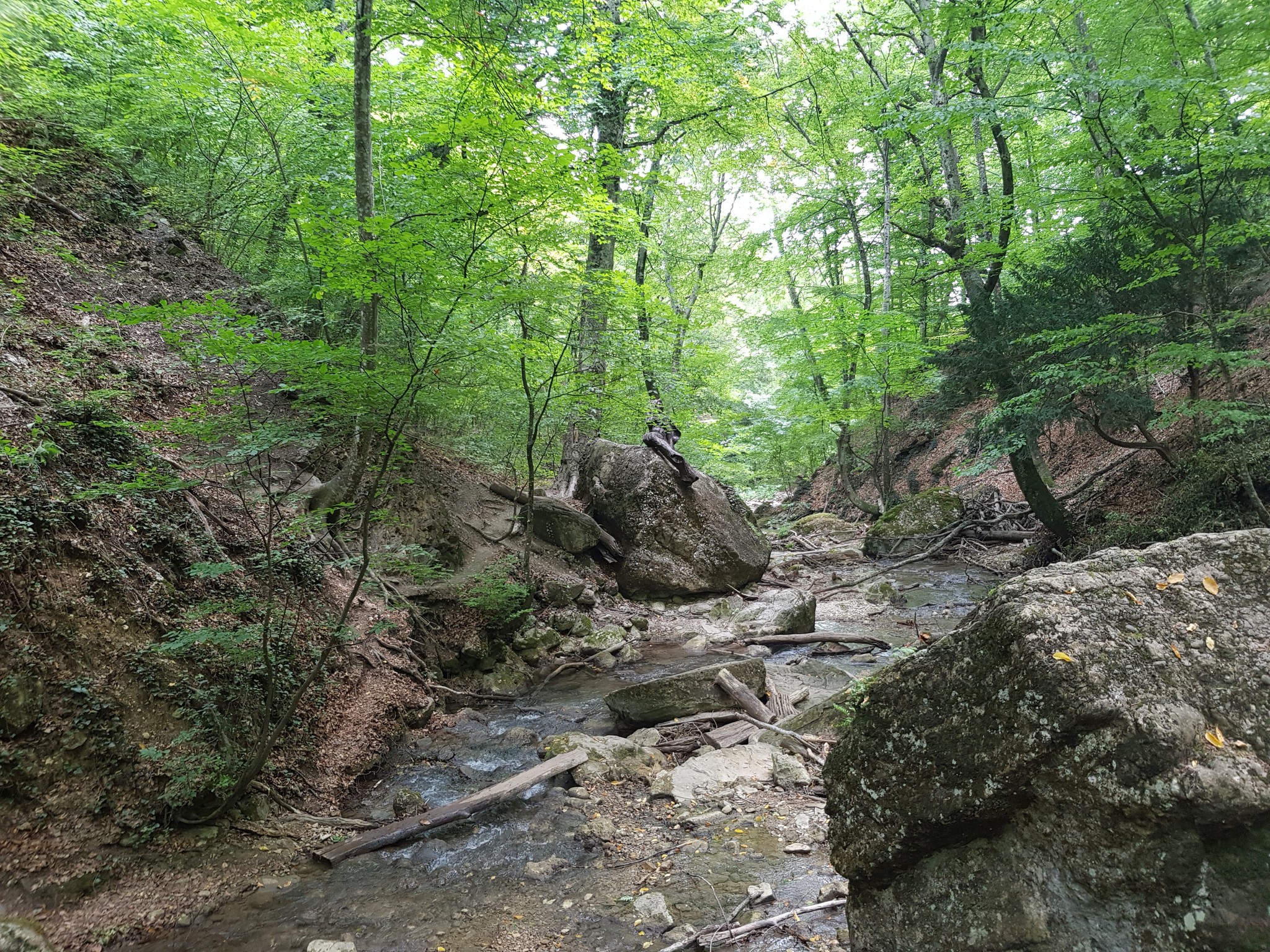 No filters - Crimea, Nature, Forest, Waterfall, Photo on sneaker, Longpost, The photo