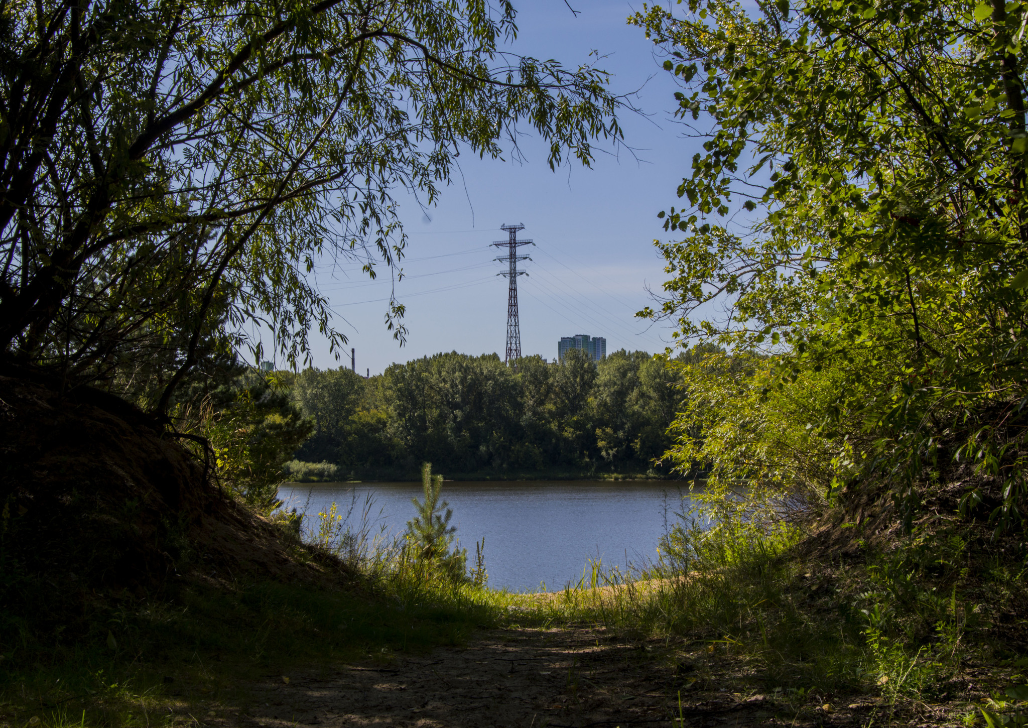 Random pictures of one day - My, The photo, Creation, Summer, Nature, River, Volga river, Beach, Forest, Longpost