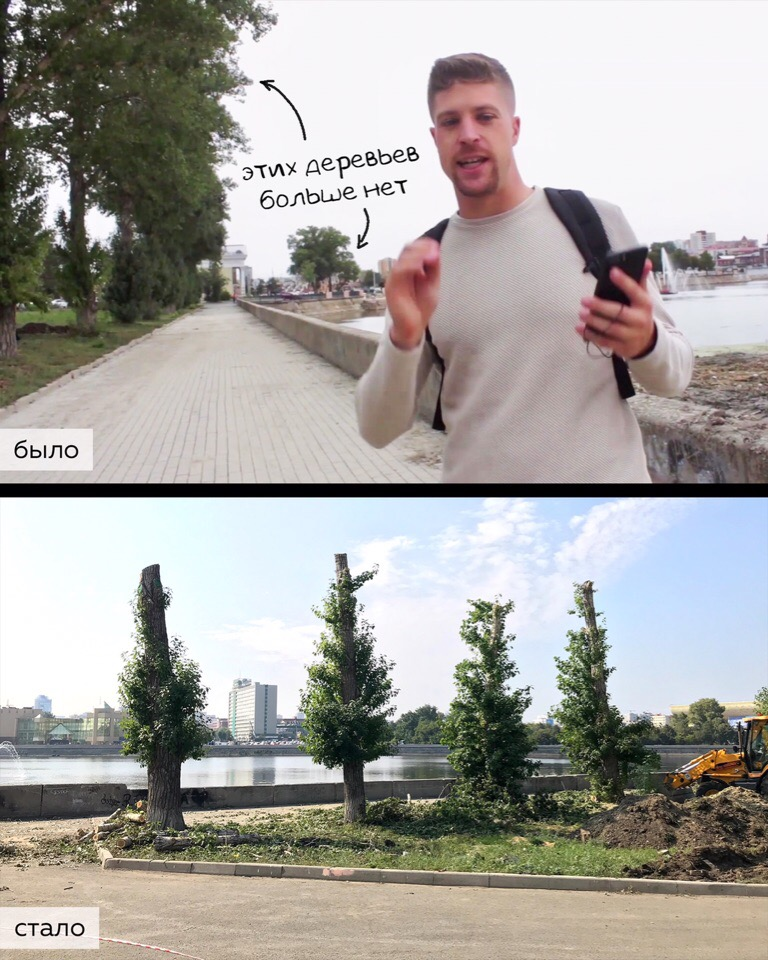 Strong business executives destroyed trees on the embankment of Chelyabinsk - My, Chelyabinsk, Chelyabinsk urbanist, Tree, Landscaping, Pruning, Officials, Longpost