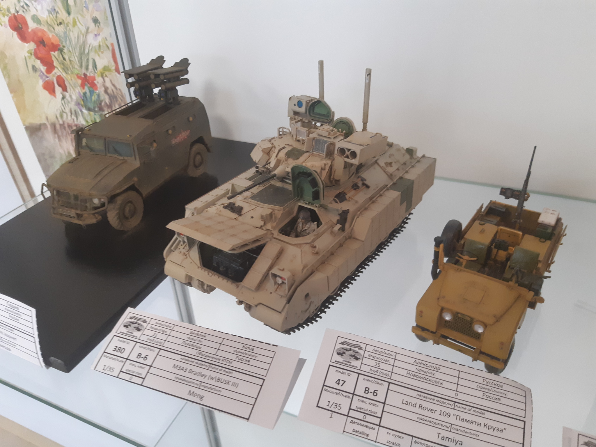 Exhibition of bench models in Stupino 2019 part 2 - My, Stupino, Stand modeling, Exhibition, Competition, Miniature, Military Historical Miniature, Longpost