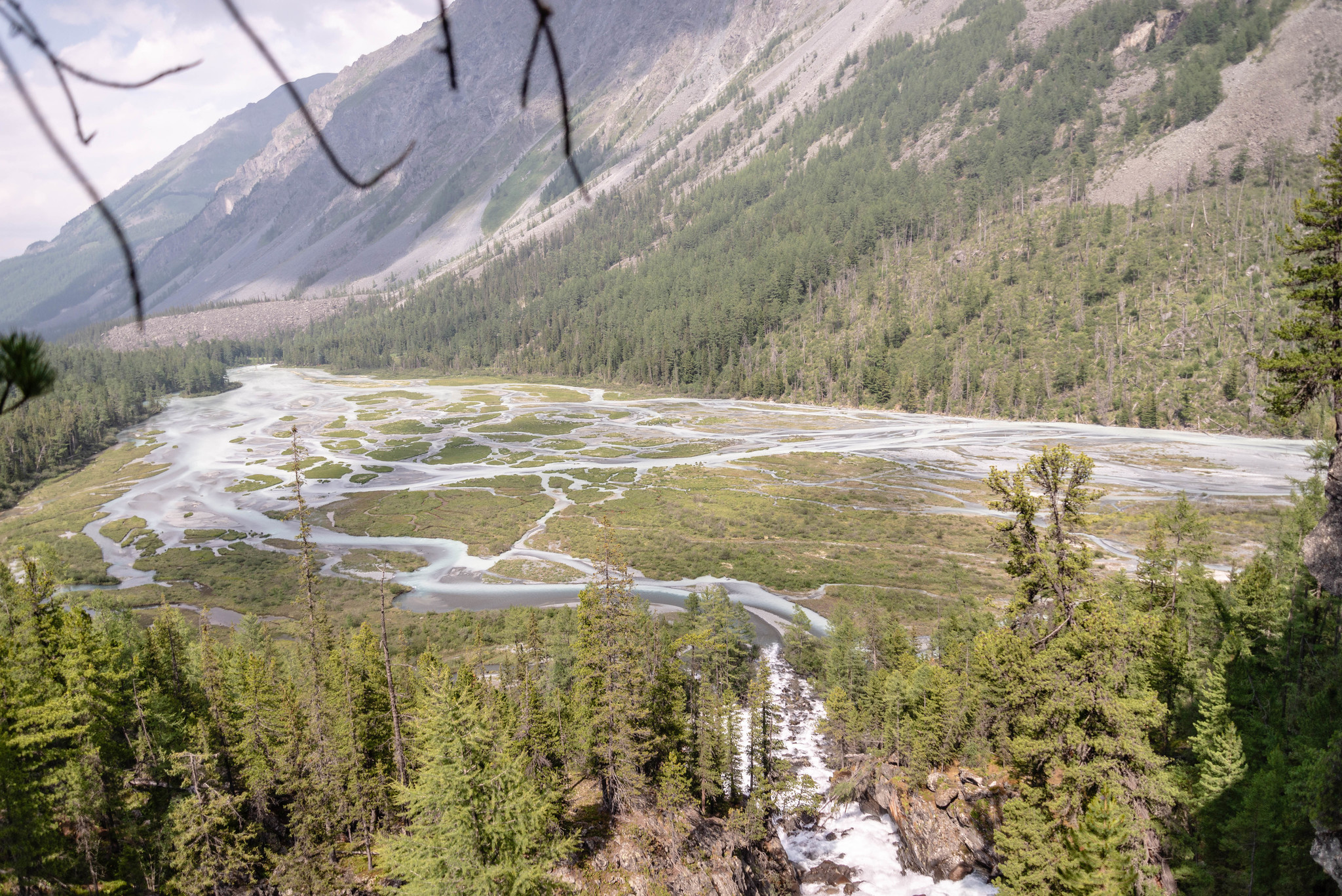 Photos from a hike in Altai, July 2019. - My, Travel across Russia, Altai, The photo, Travels, beauty of nature, Longpost, Altai Republic