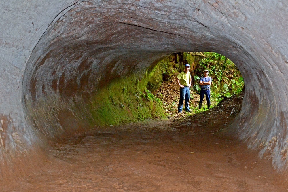 Prehistoric mega-burrows of giant sloths - Paleontology, Sloth, Copy-paste, Longpost, Nora, South America, Interesting, Informative