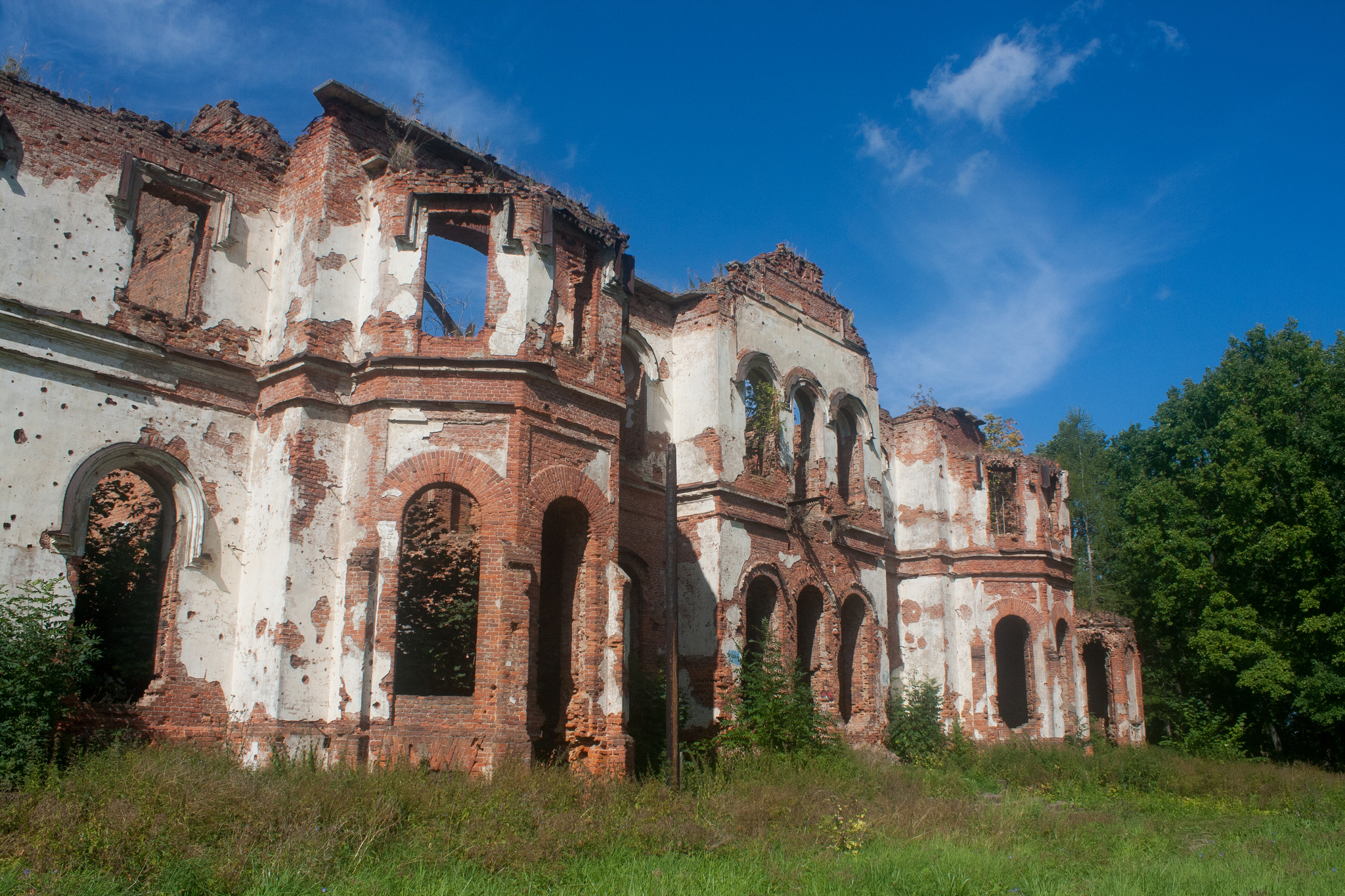 Заросший парк, а в нём старинный дом - разрушенная усадьба-дворец в деревне  Гостилицы. | Пикабу