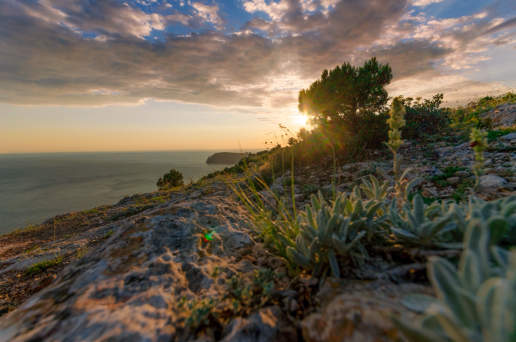 Sunset in Sevastopol - My, Sevastopol, Sunset, Crimea, The photo