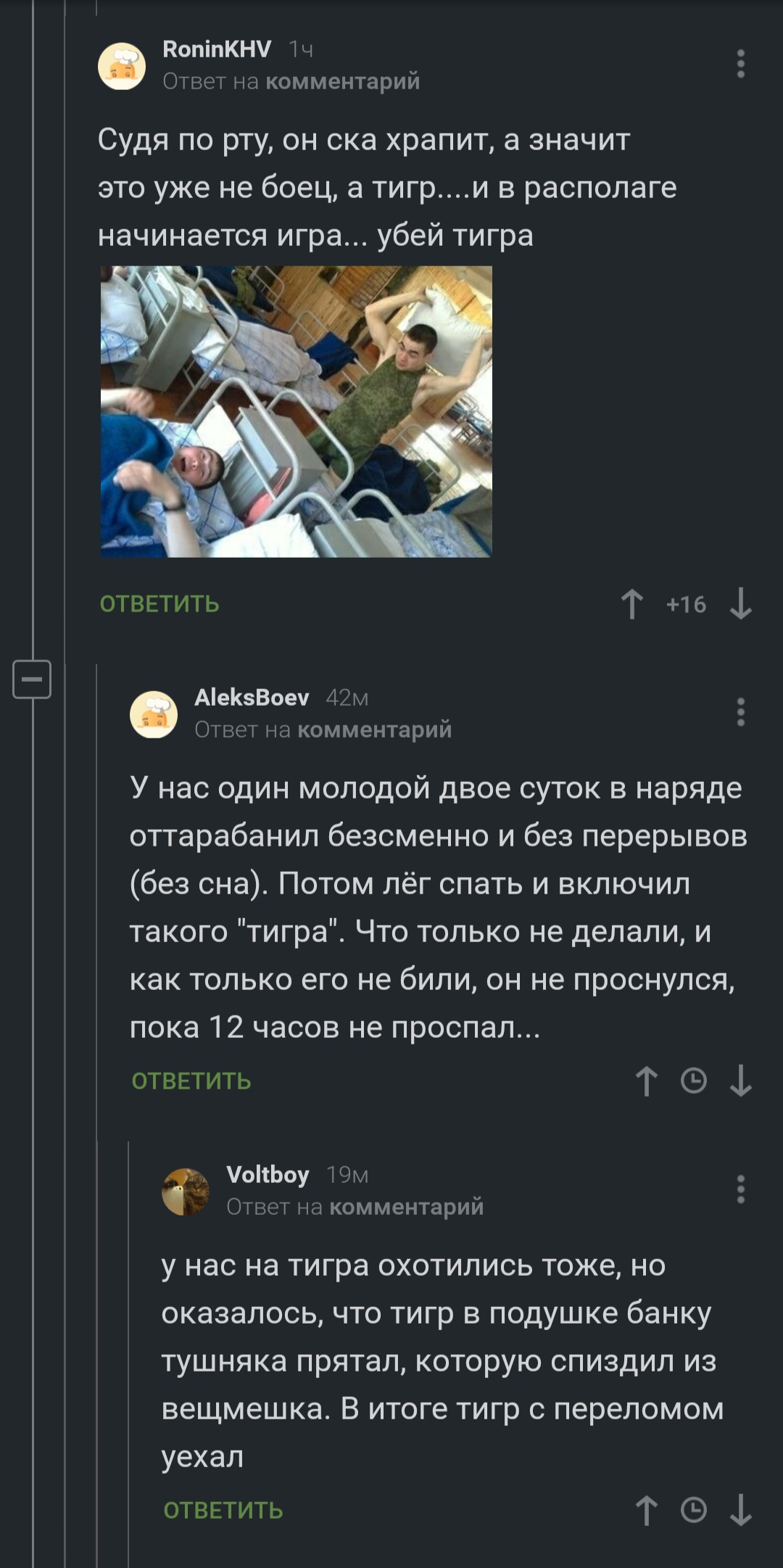 Тигр | Пикабу