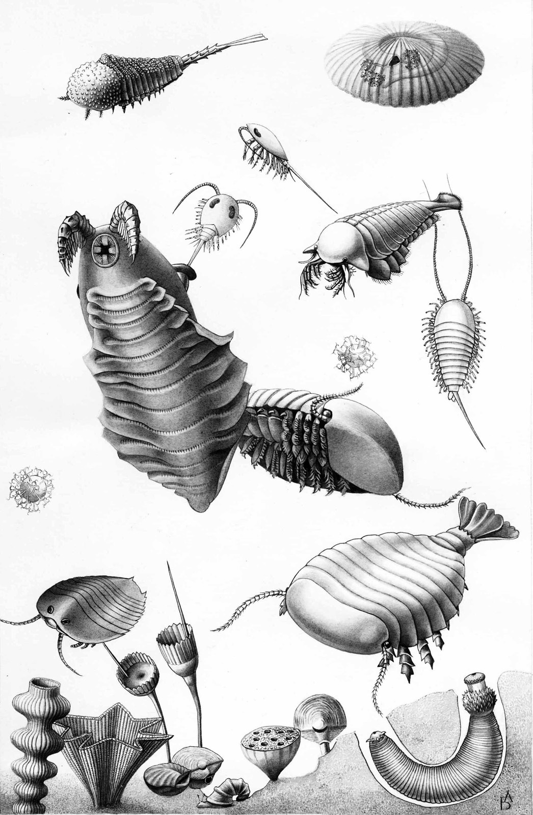 Illustrations for an unreleased book - My, Graphics, Drawing, Creation, Creative, Illustrations, Botany, Animals, Longpost, Paleoart