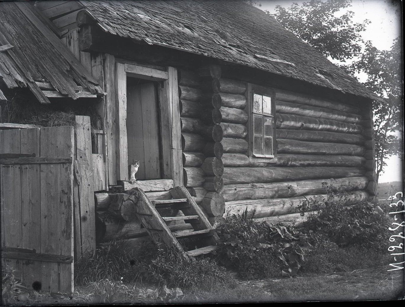 Село Никольское на снимках Александра Антоновича Беликова, 1925