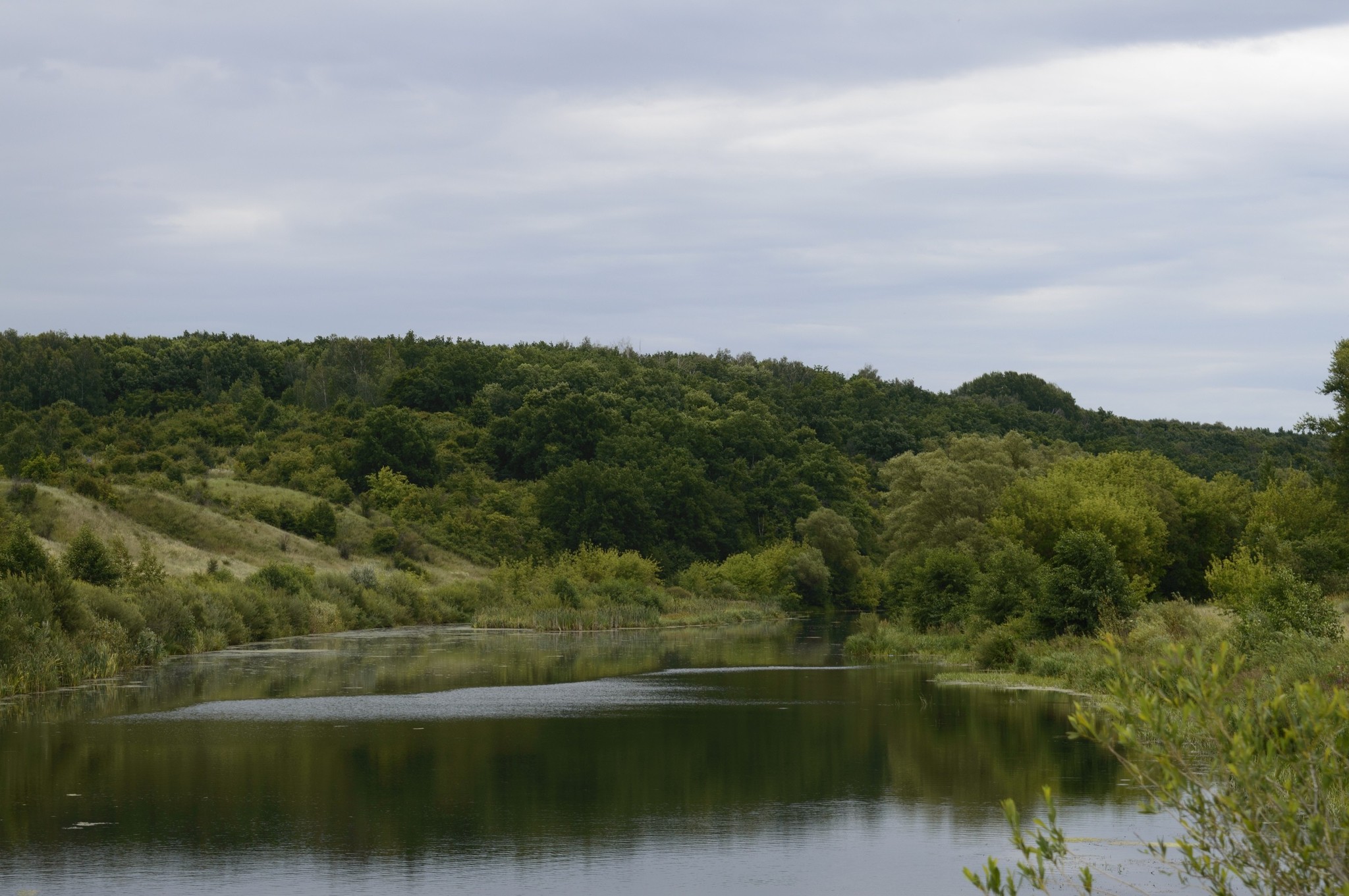 One summer day... - My, Nature, beauty of nature, Landscape, Flowers, River, Longpost