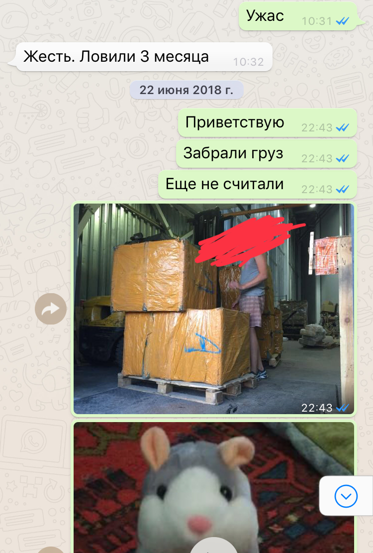 Business with Amazon, 700 hamsters, what not to do. - My, Business in Russian, Business, Real life story, Longpost