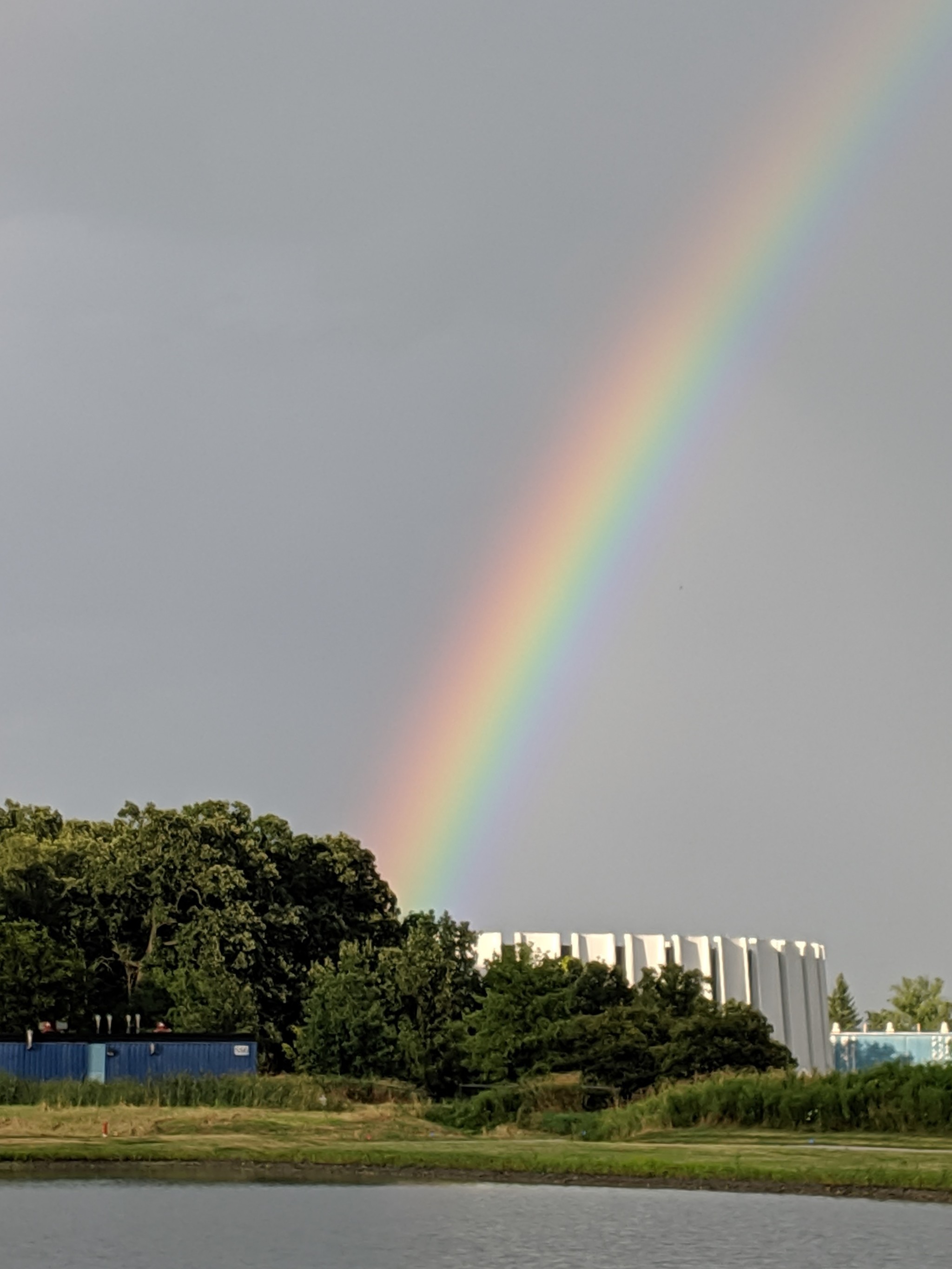 Rainbow | Пикабу