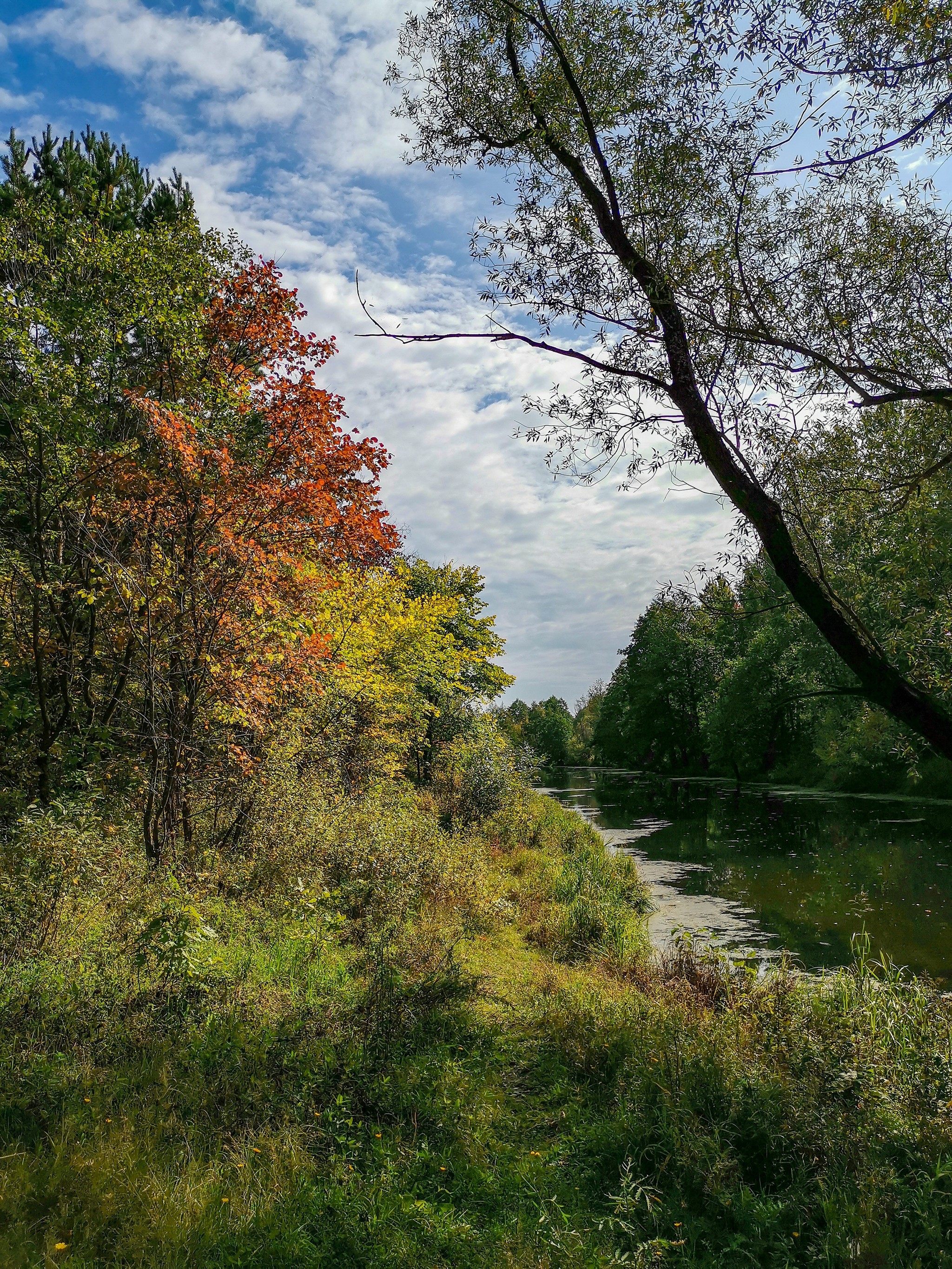 September sketches - My, Dzerzhinsk, Reshetiha, Nature, Mobile photography, The photo, Longpost, Video, A bike