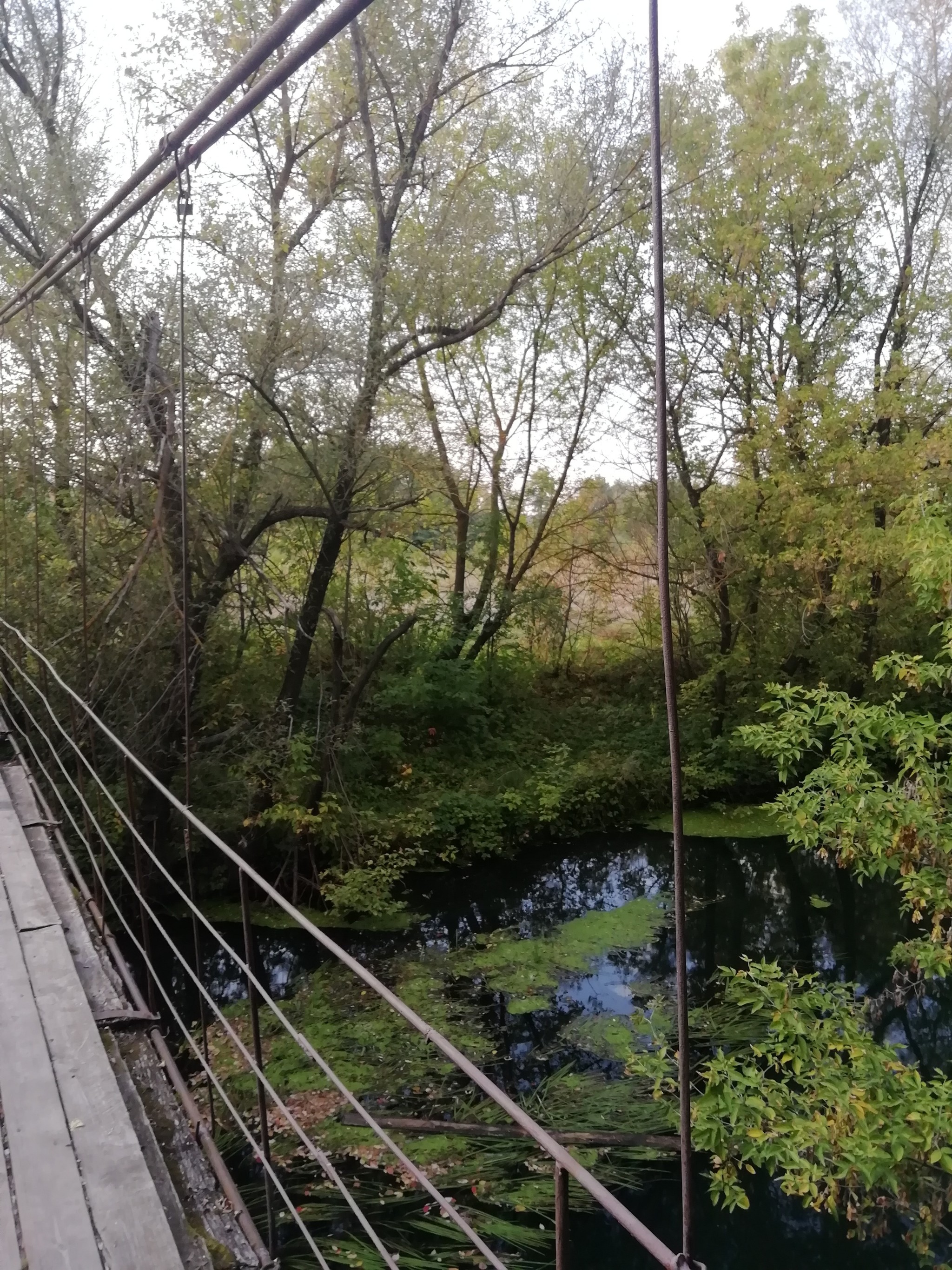 Suspension bridge - My, River, Bridge, Travels, Walk, The photo, Longpost