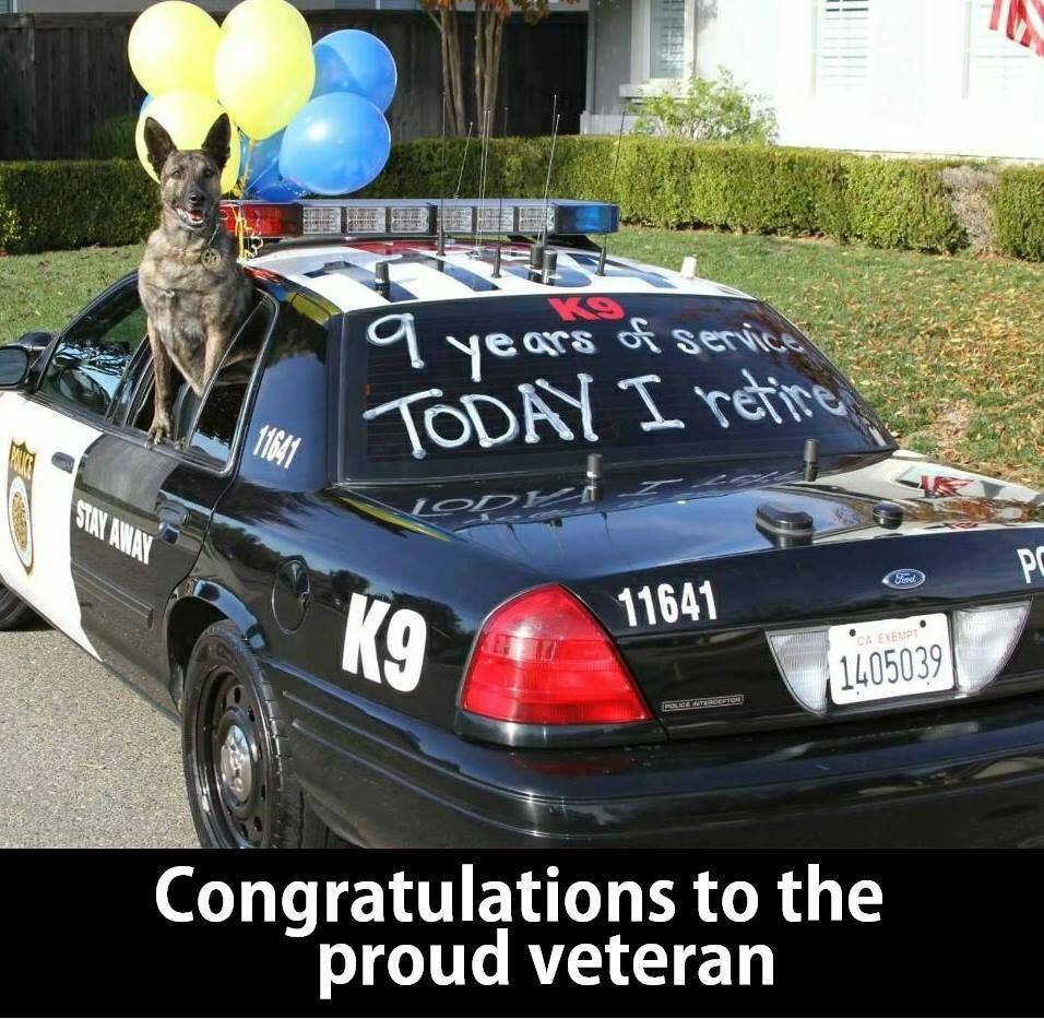 9 years of service and today I'm retiring - Dog, Police, Milota, Picture with text