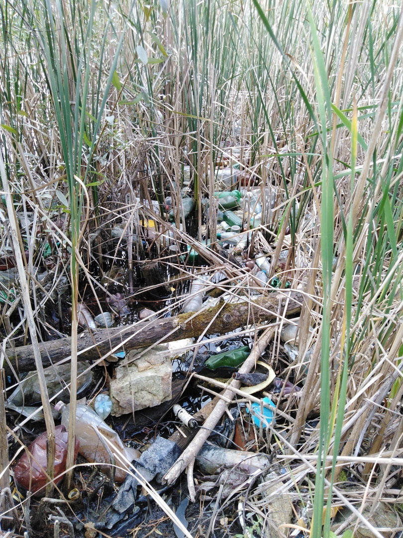 The cleaners cleaned the quarry. - My, Pure Man's League, Chelyabinsk, Garbage, Cleaning, Saturday clean-up, Purity, Ecology, Chistoman, Longpost