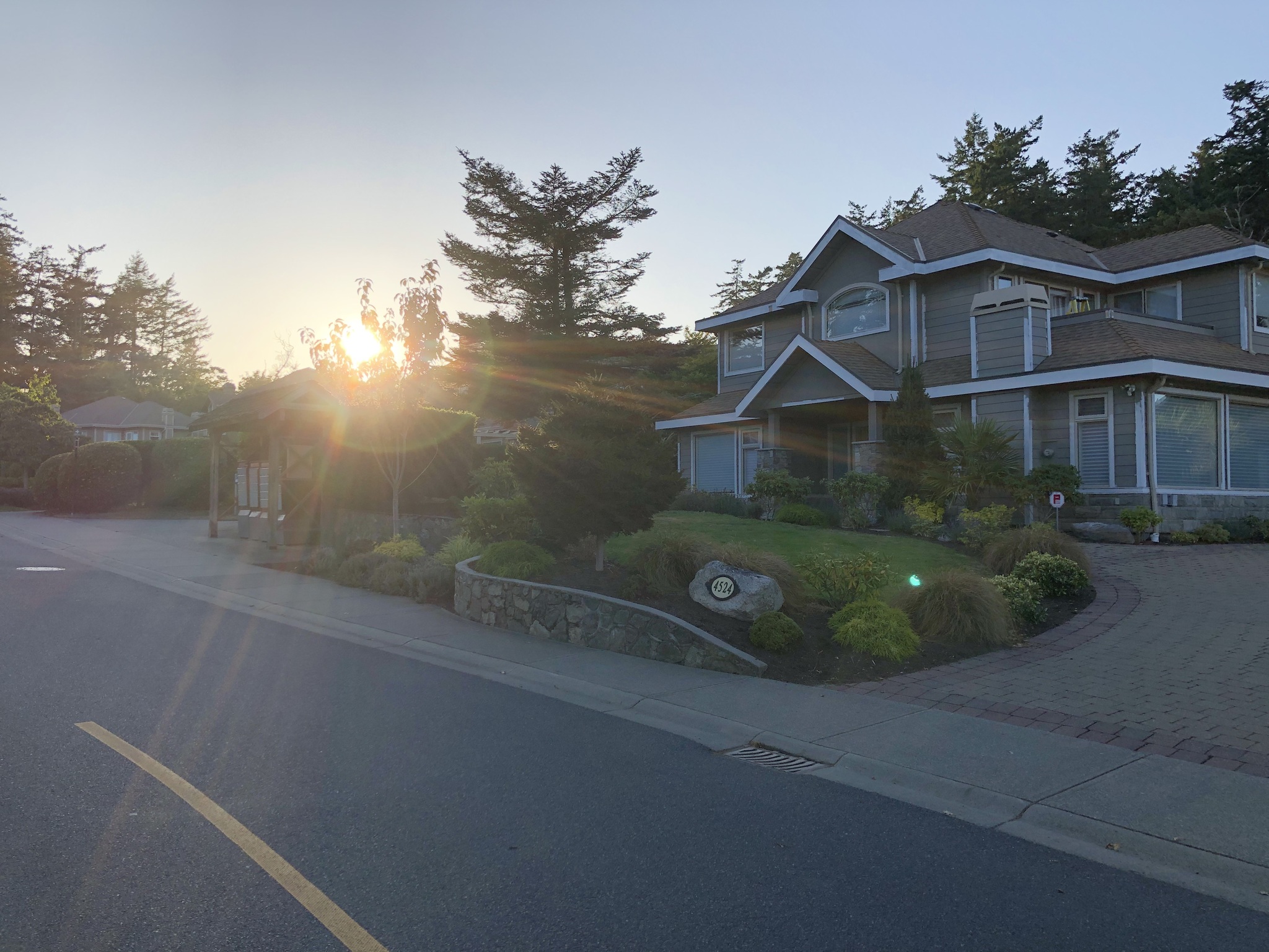 Deer - My, Deer, Town, Road, House, The street, Evening, Canada, Longpost, Deer