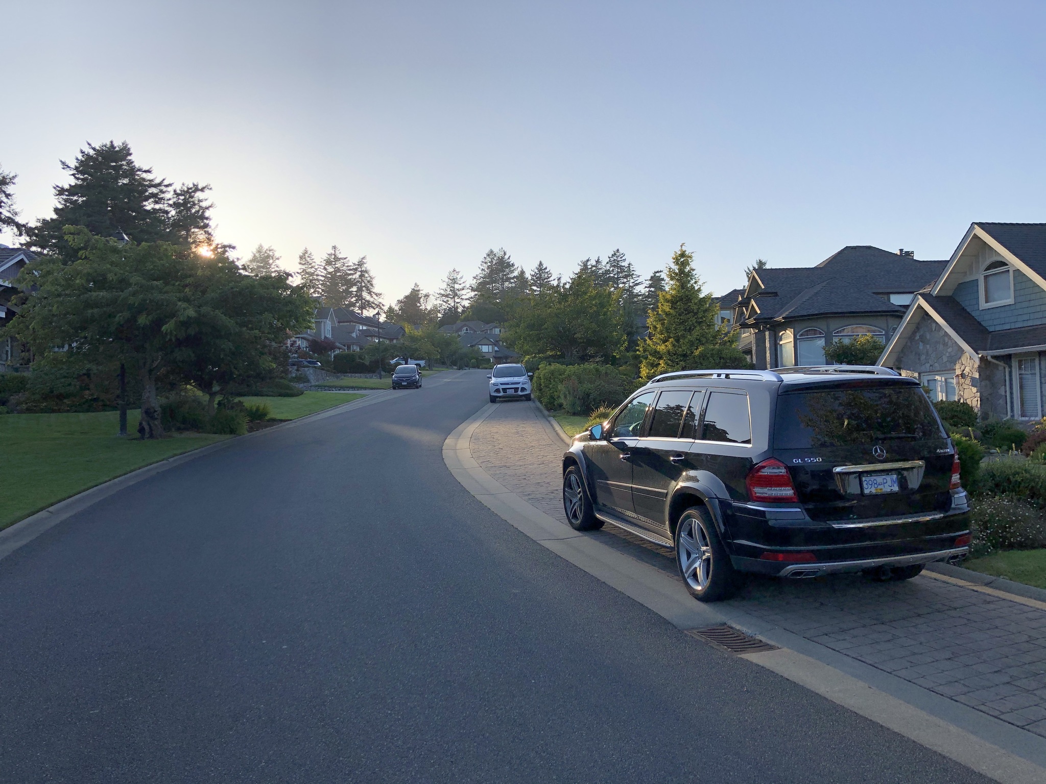 Deer - My, Deer, Town, Road, House, The street, Evening, Canada, Longpost, Deer