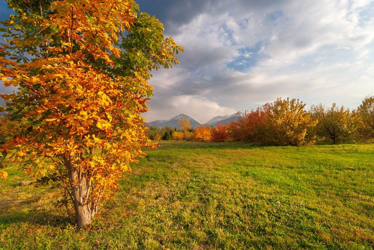 Evening in the autumn park. - My, Autumn, Almaty, Landscape, Evening, Canon, Longpost