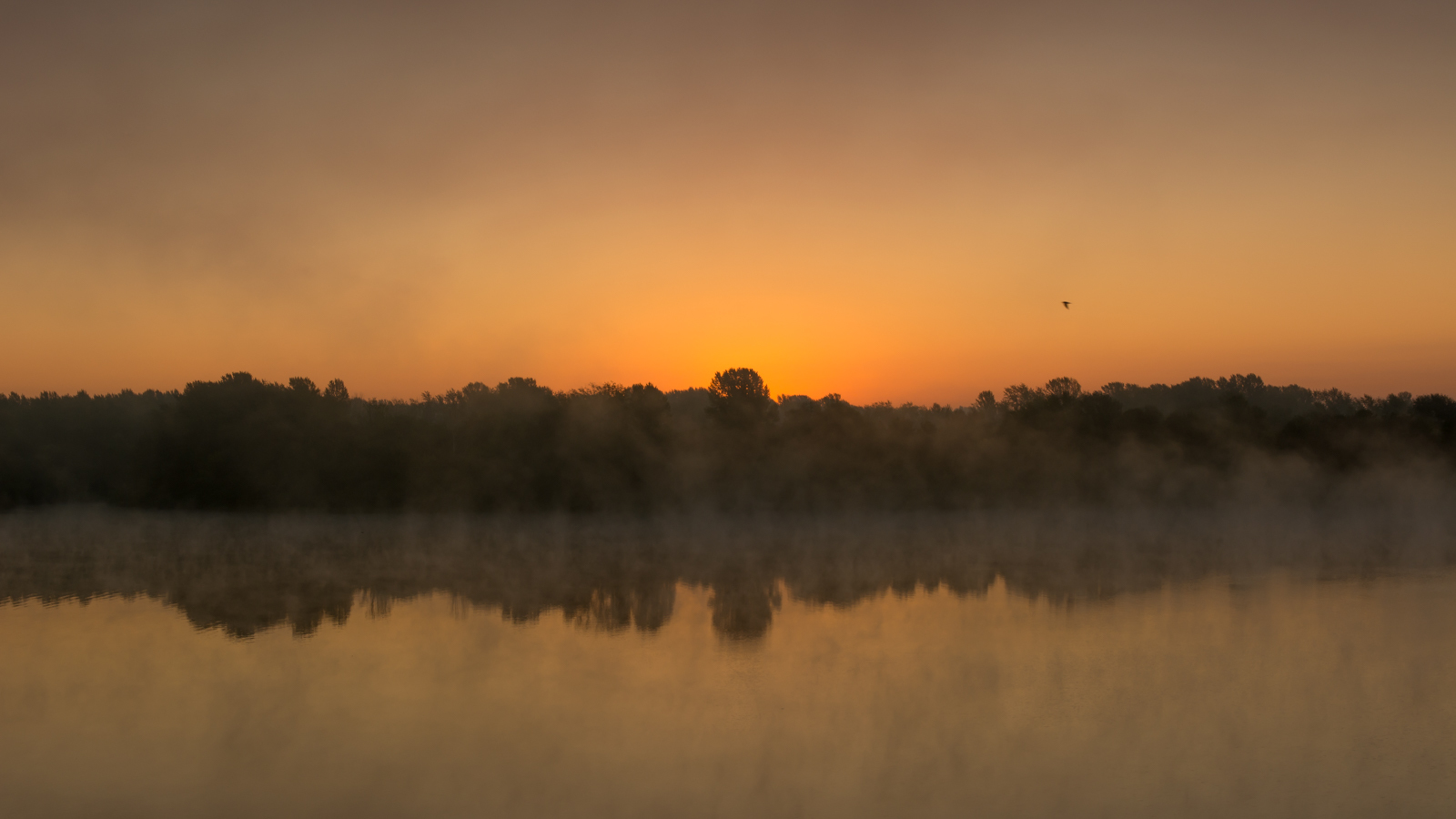 At dawn - My, The photo, Beginning photographer, Tambov, Tambov Region, River, , Open spaces, Longpost