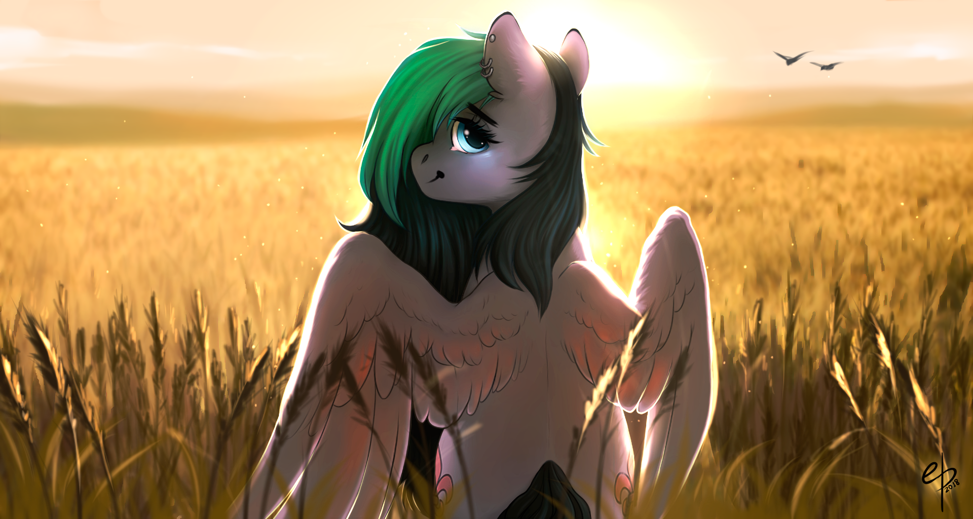 Evening Field - My Little Pony, Original Character, Вечер, Поле, Empaws