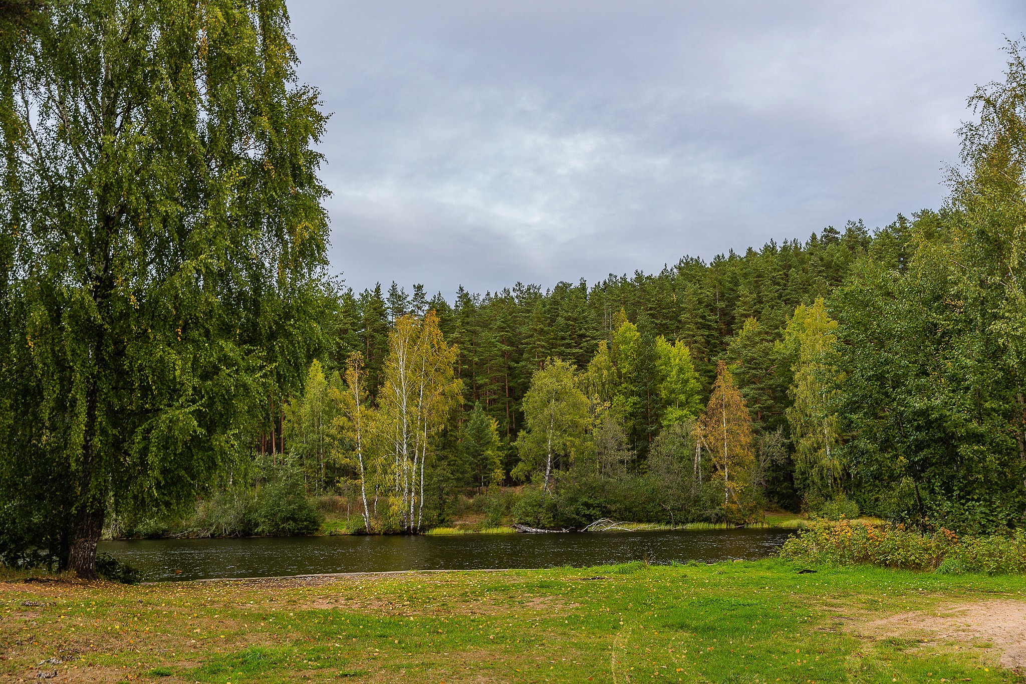 Business trip near St. Petersburg - My, Landscape, Leisure, Leningrad region, Lake, Forest, Longpost