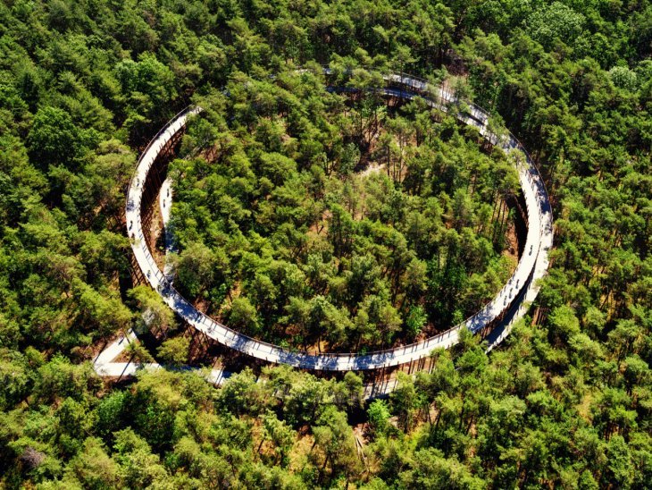 Unusual bike path in the middle of the forest in Belgium - Belgium, Bike path, Video, Longpost