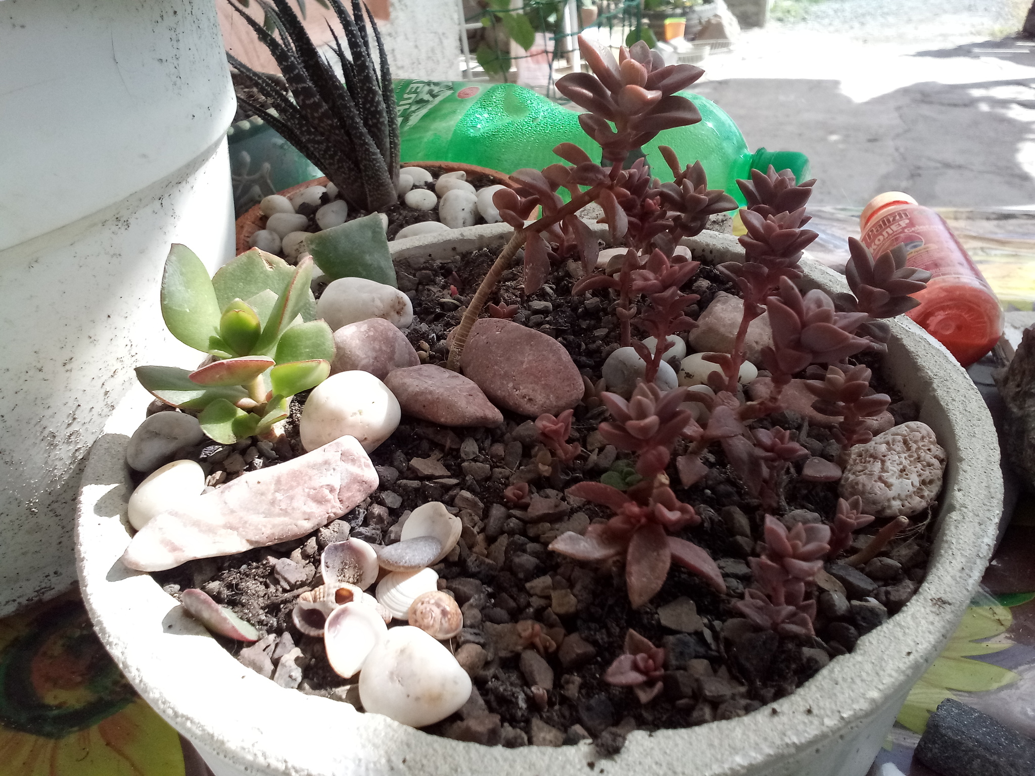 Large cement pots, continuing the theme - My, Needlework, Flowers, Enthusiasm, Longpost