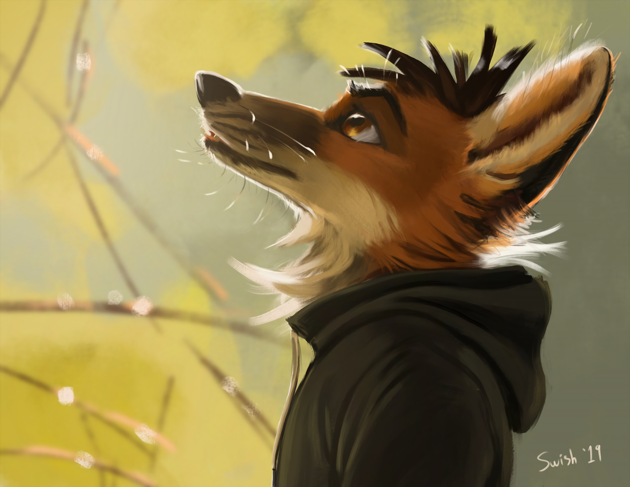 Sunny Fox - Фурри, Furry Art, Furry Fox, Rascheln