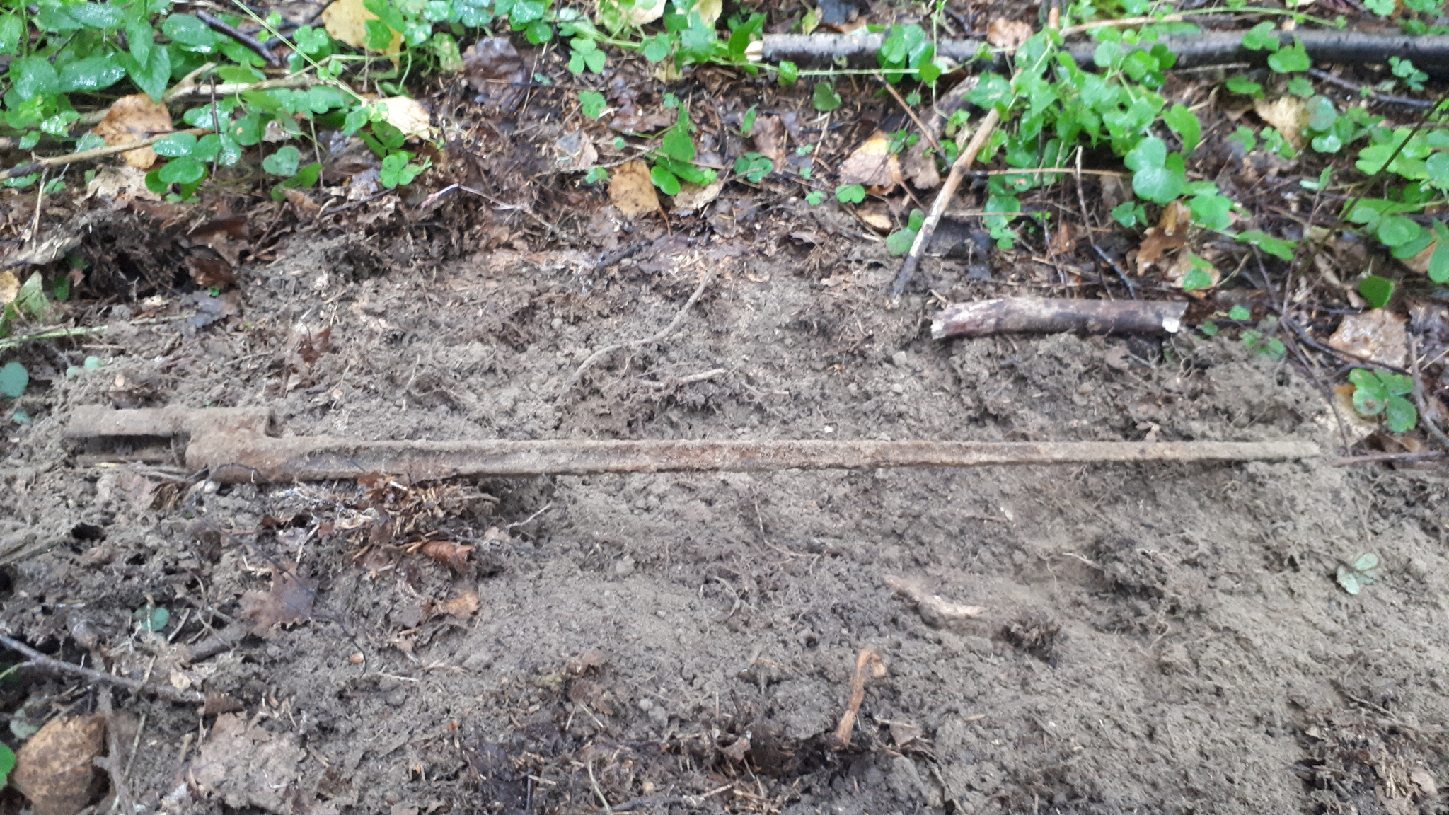 Walking in the autumn forest with a metal detector - My, Hobby, Treasure hunter, Longpost, Treasure hunt