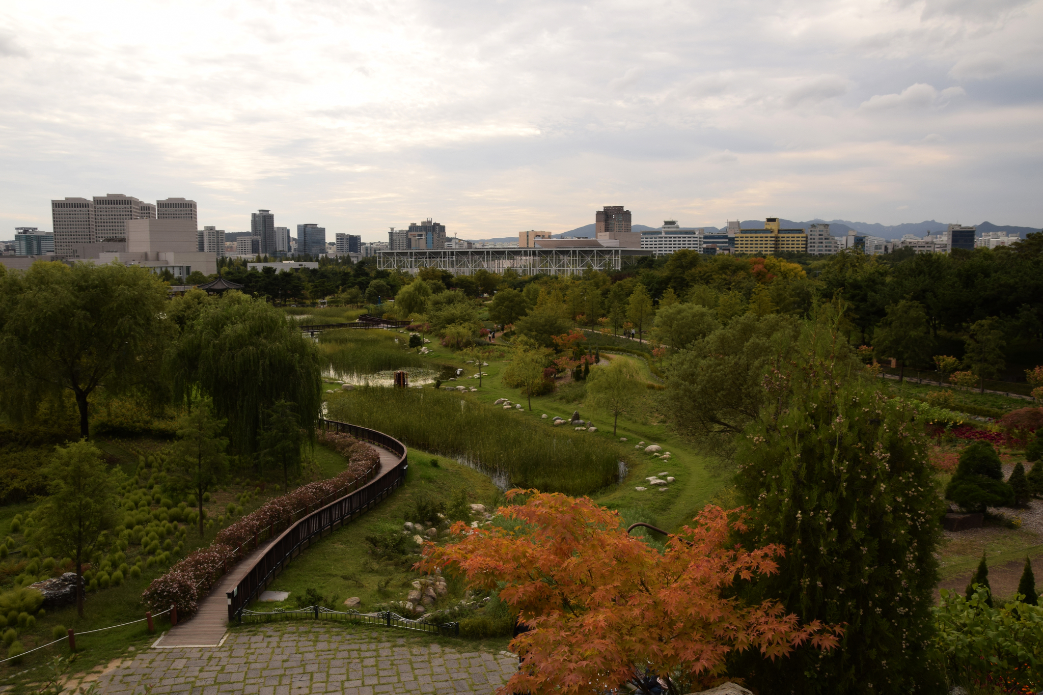 Walk through the Hanbat Arboretum - My, Garden, Arboretum, South Korea, Plants, The photo, Beginning photographer, Longpost