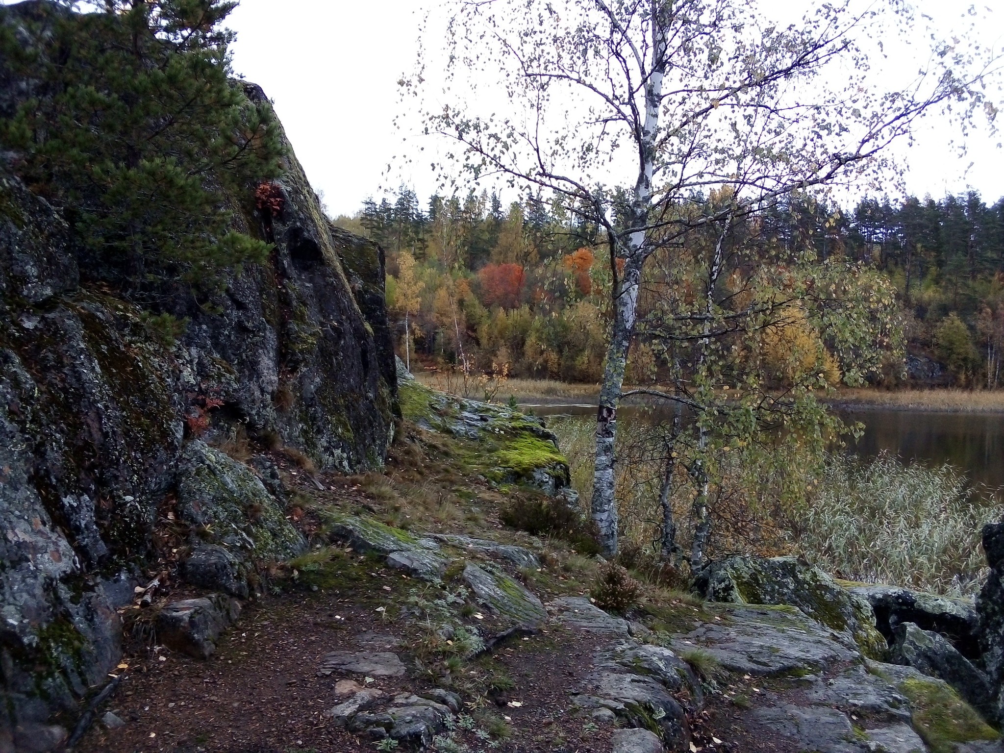 Autumn Karelia - My, Autumn, Republic of Karelia, Ladoga lake, Longpost, The photo, Nature, Карелия