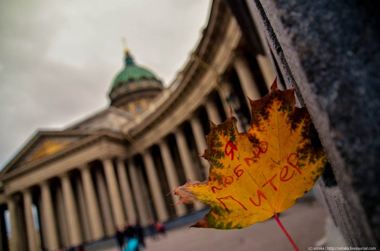 And in St. Petersburg autumn ... - My, Saint Petersburg, The photo, Town, Walk, Beginning photographer, Megapolis, Longpost